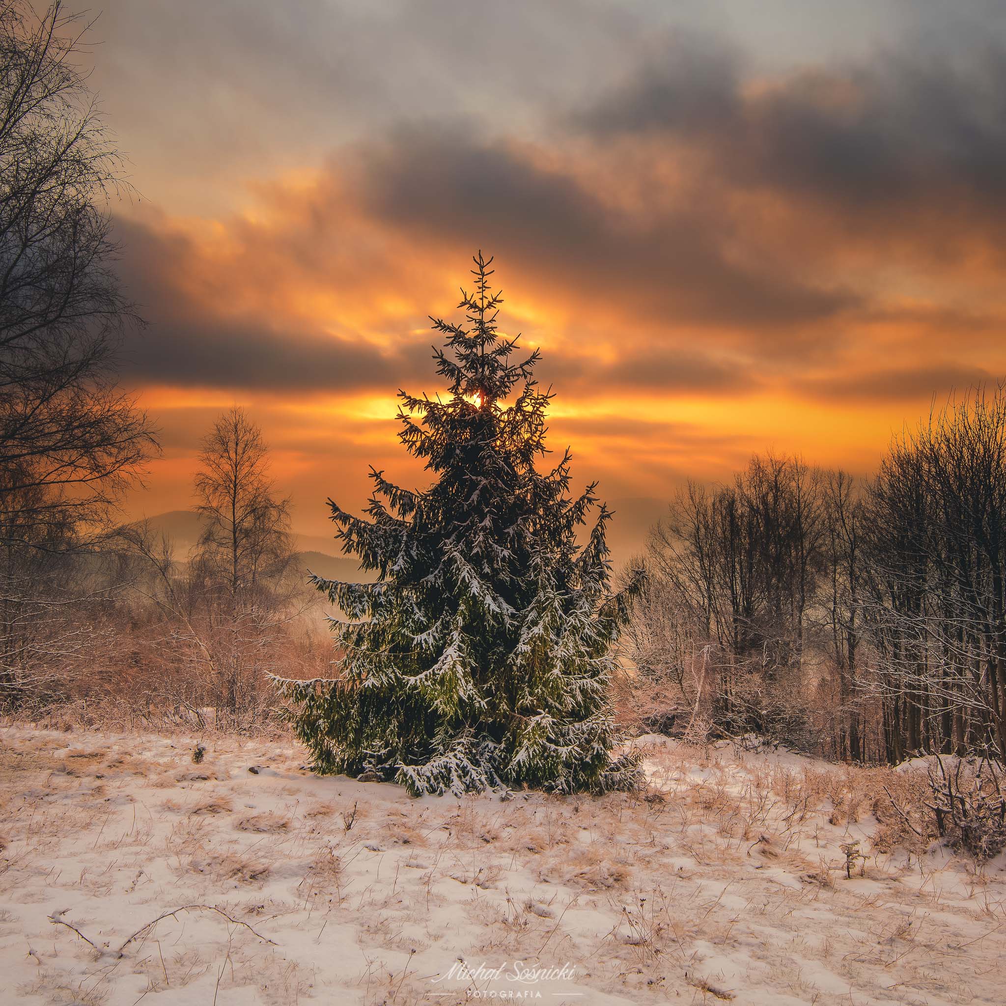 #tree #sun #sunrise #morning #poland #zawoja #pentax, Michał Sośnicki