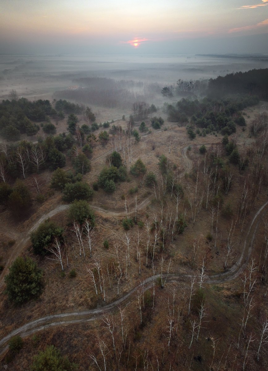 landscape, drone, mavic mini, sunrise, fog, Wojciech Grzanka