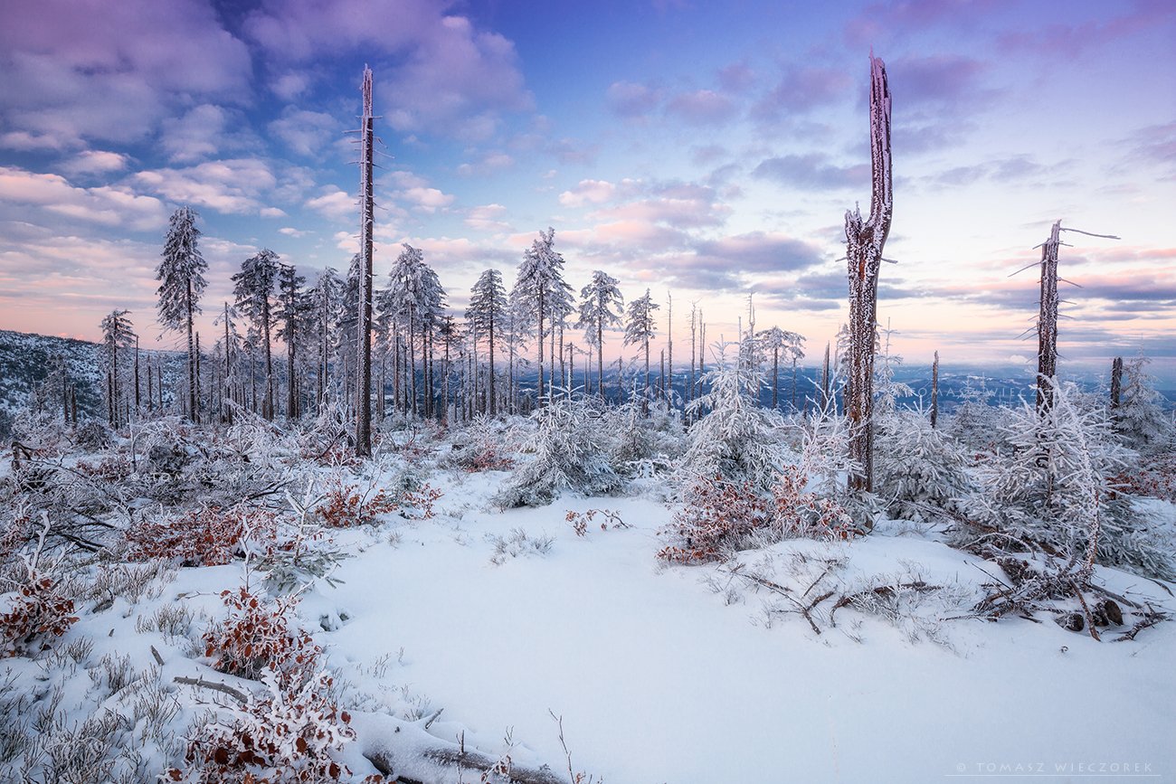 poland, polish, landscape, sunrise, sunset, colours, winter, awesome, amazing, adventure, travel, beautiful, morning, snow, frozen, light, mountains, tree, Tomasz Wieczorek