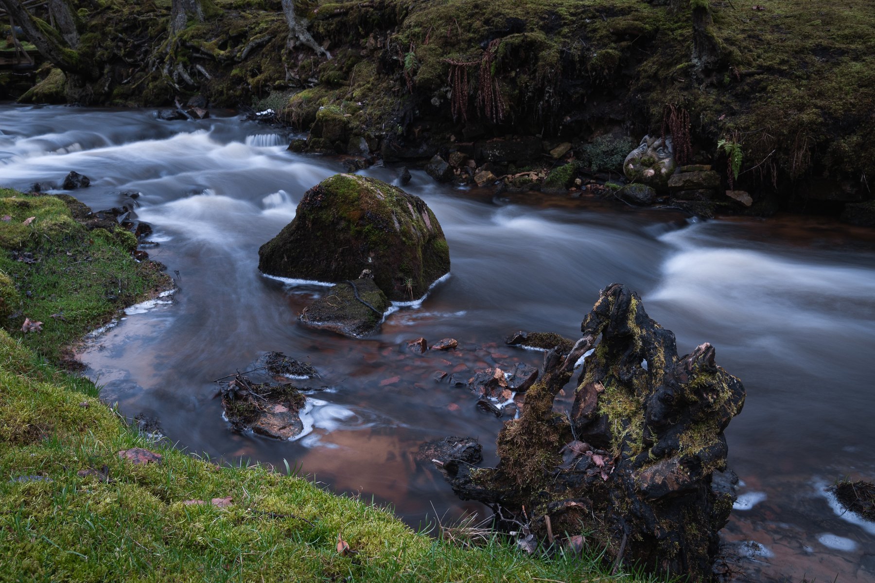 река камни вода пейзаж трава мох , Дмитрий Рябцев