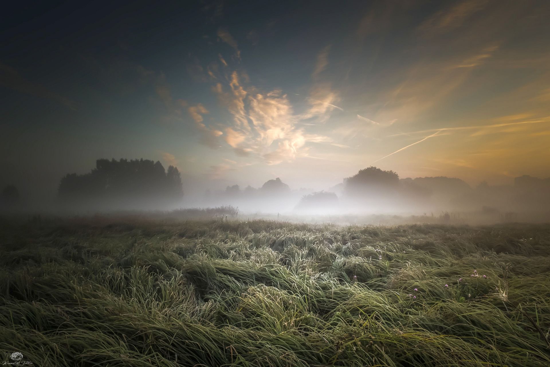 Daybreak, Clouds, Sky, Nature, Light, Fog, Landscape, Nikon, Mist, Atmosphere, trees, , Krzysztof Tollas