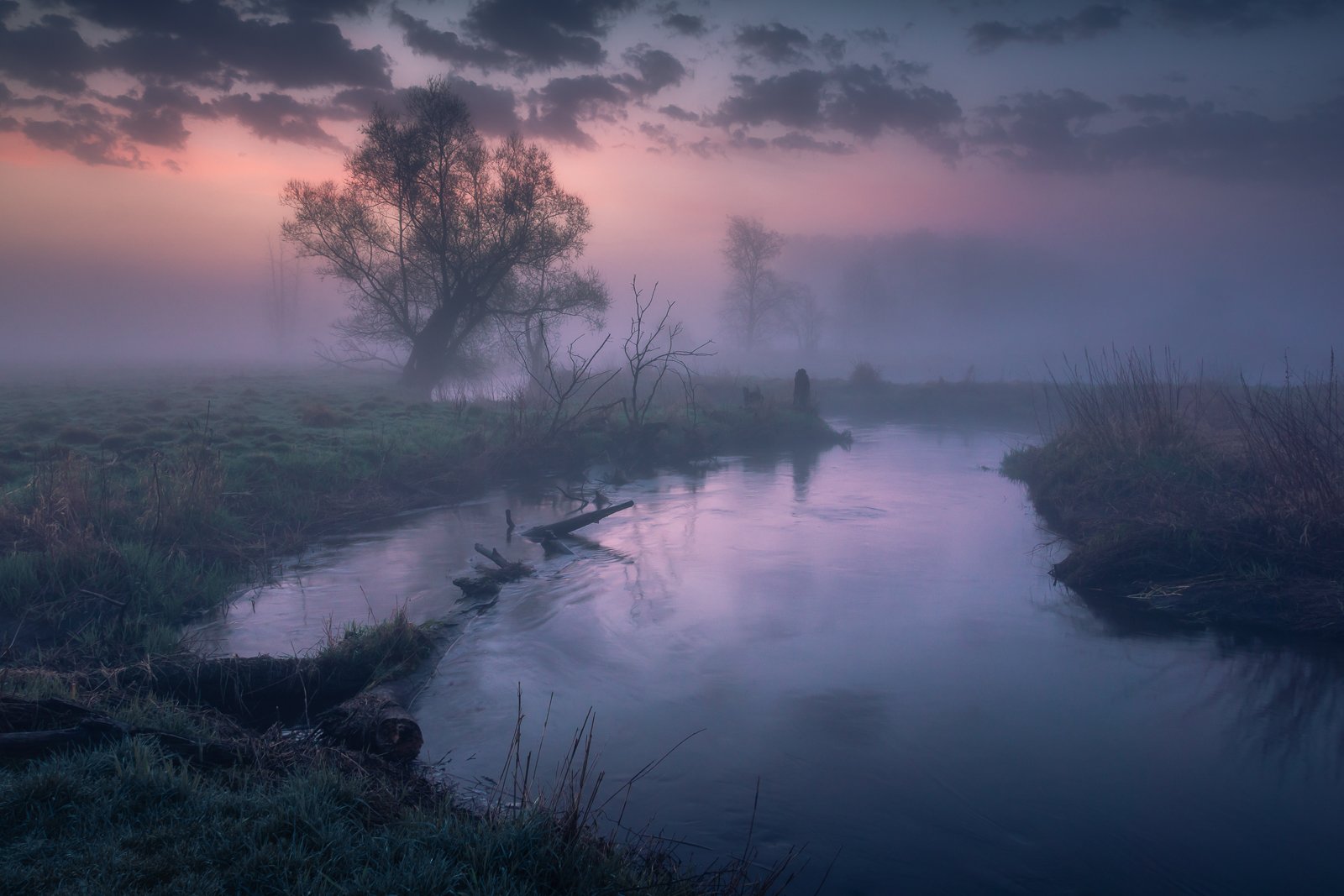 foggy, river, tree, misty, morning, water, dawn, jeziorka, valley, fog, landscape, nature, Artur Bociarski