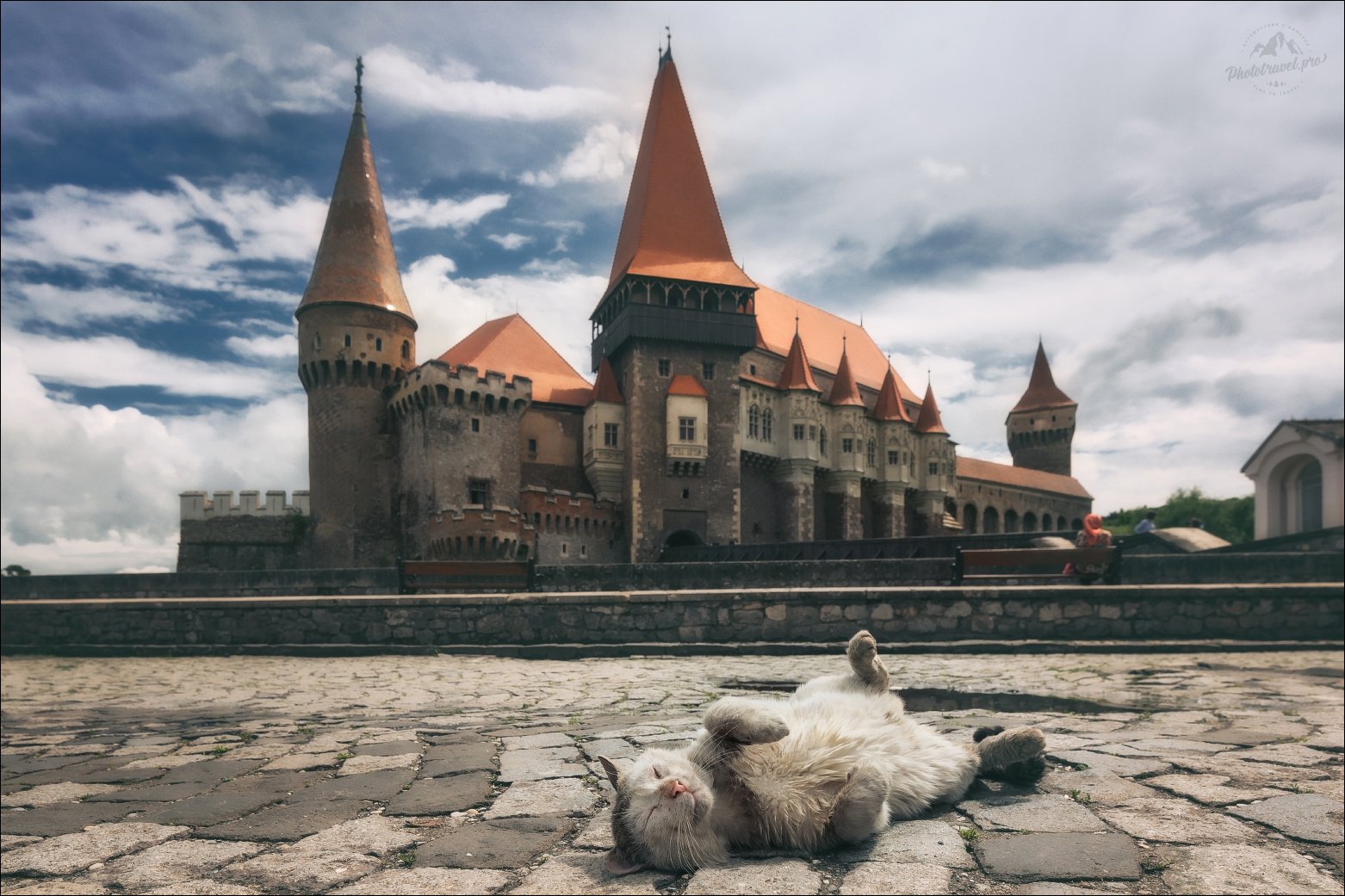 румыния, замок корвинов, кот, romania, corvin castle, Влад Соколовский