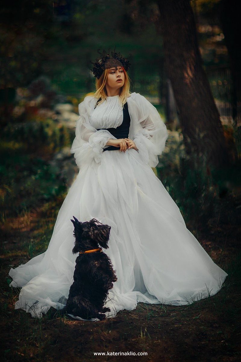 dog, dress, white, creative, model, fine art, art, scottish terrier, Катерина Клио