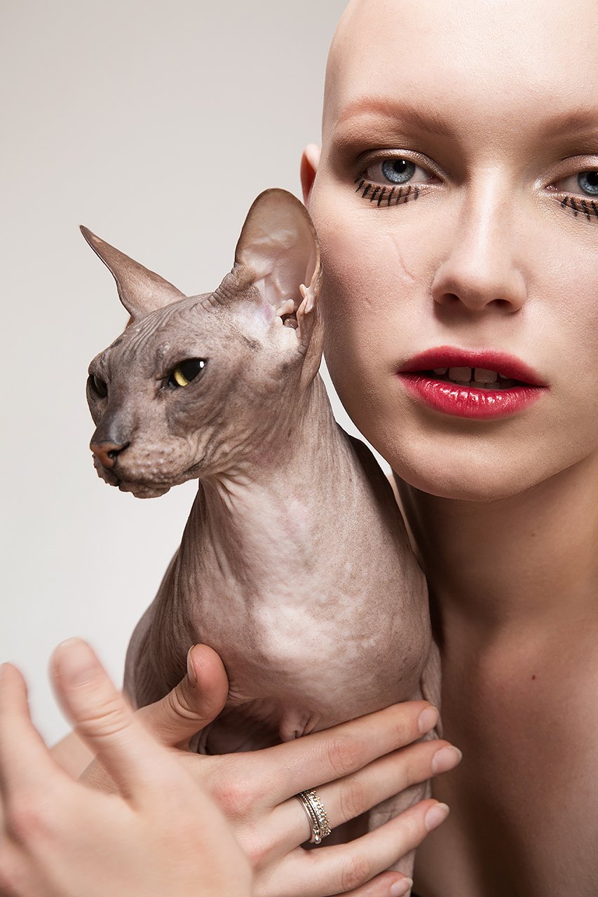 девушка, сфинкс, кошка, концепт, без волос, лысый, мода, модель, Дарья Комарова