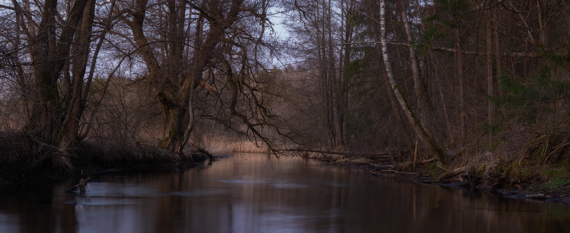 река Уша, весна, река, берега, деревья, Михаил Кушнер