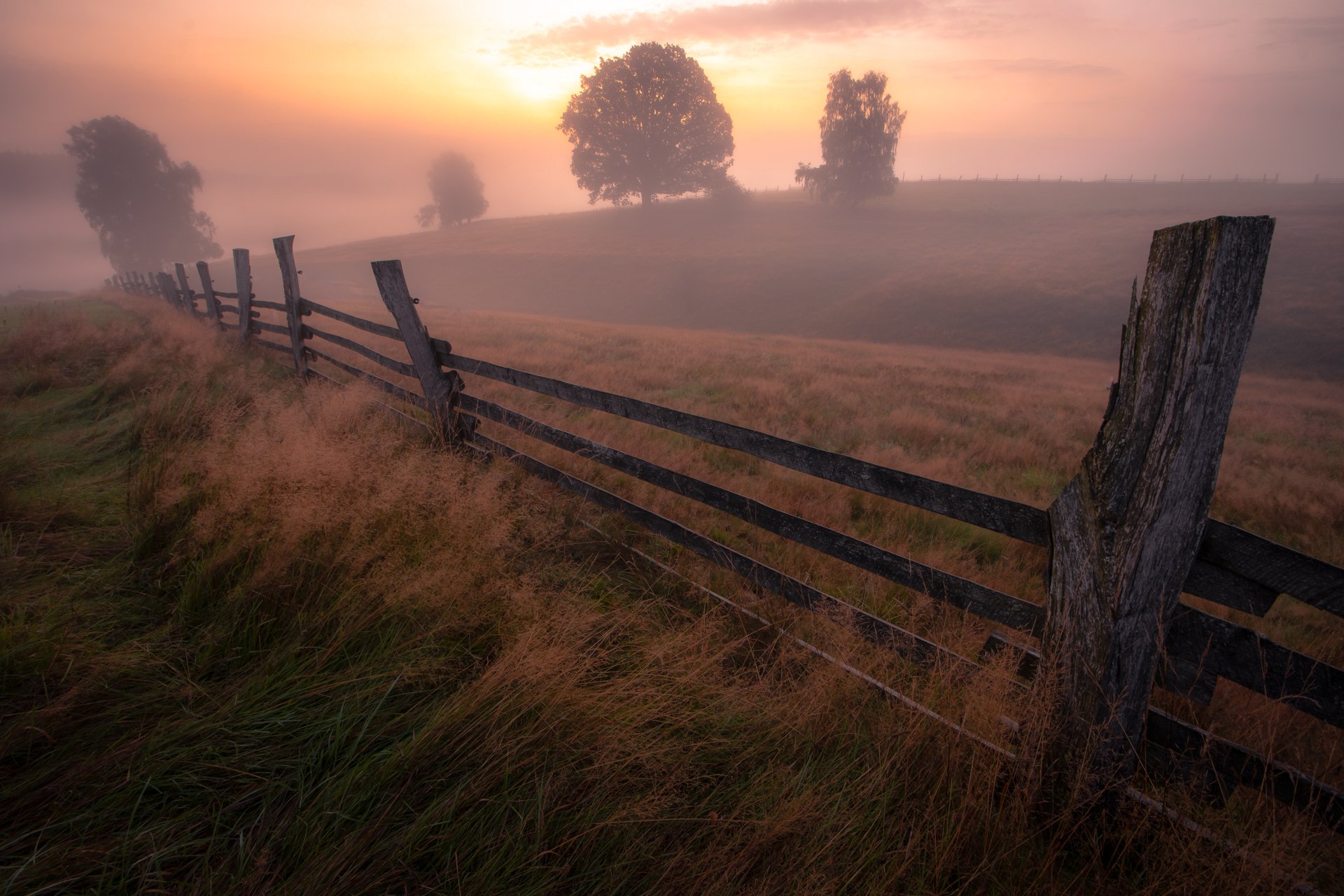 landscape, nature, sunrise, fog, mist, meadow, fence, autumn, trees, tree, , Luboš Prchal