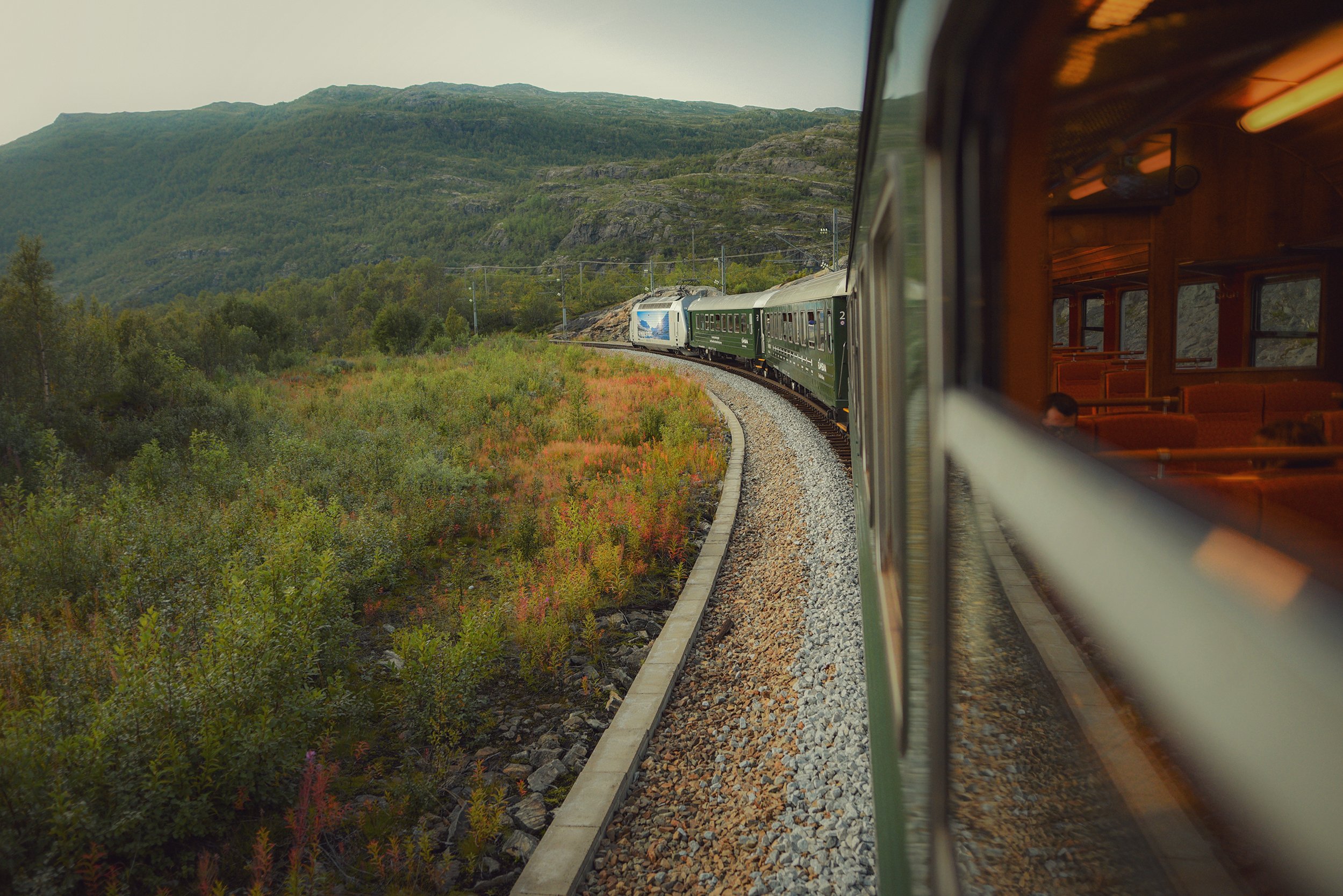 природа, пейзаж, норвегия, путешествия, флом, железная дорога, красота, поезд, Рустам Афлятунов