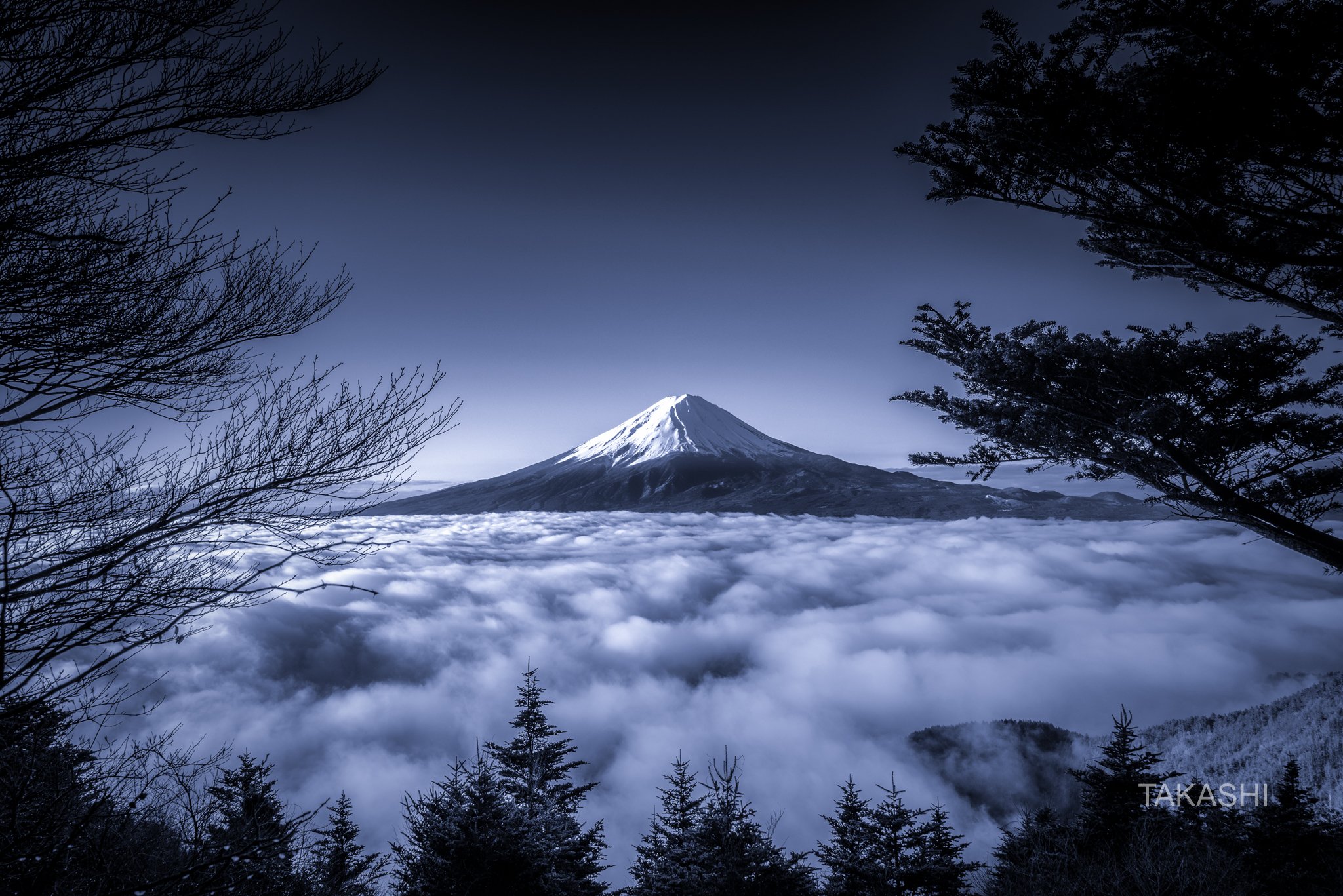 Fuji,Japan,mountain,forest,cloud,tree,, Takashi