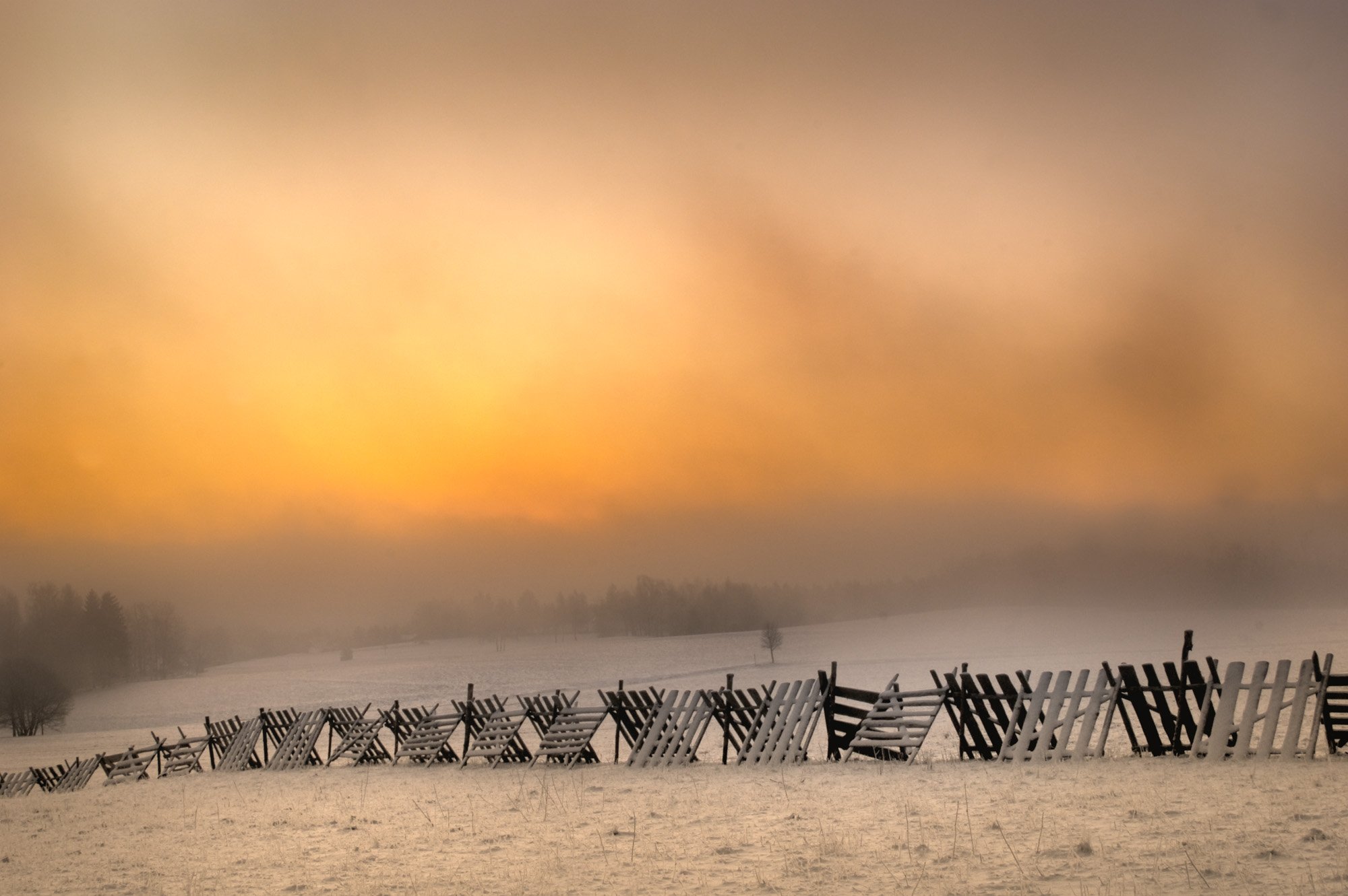 против тумана. против тумана. тоскана холмы туман. отец майто гая против 7 мечников тумана. зецу и тоби против ниндзя тумана.