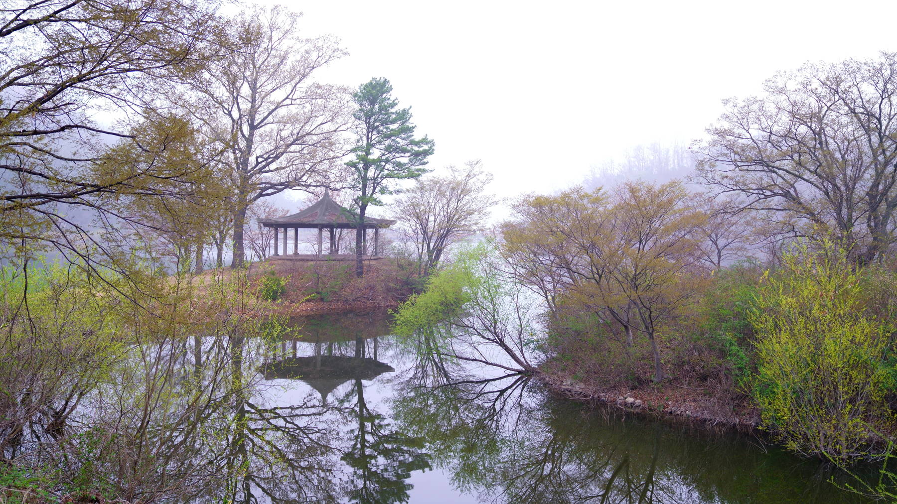 south korea, choongcheongnamdo, spring, springtime, lake, tree, fog, new leaves, reflection, octagoral, morning, Shin