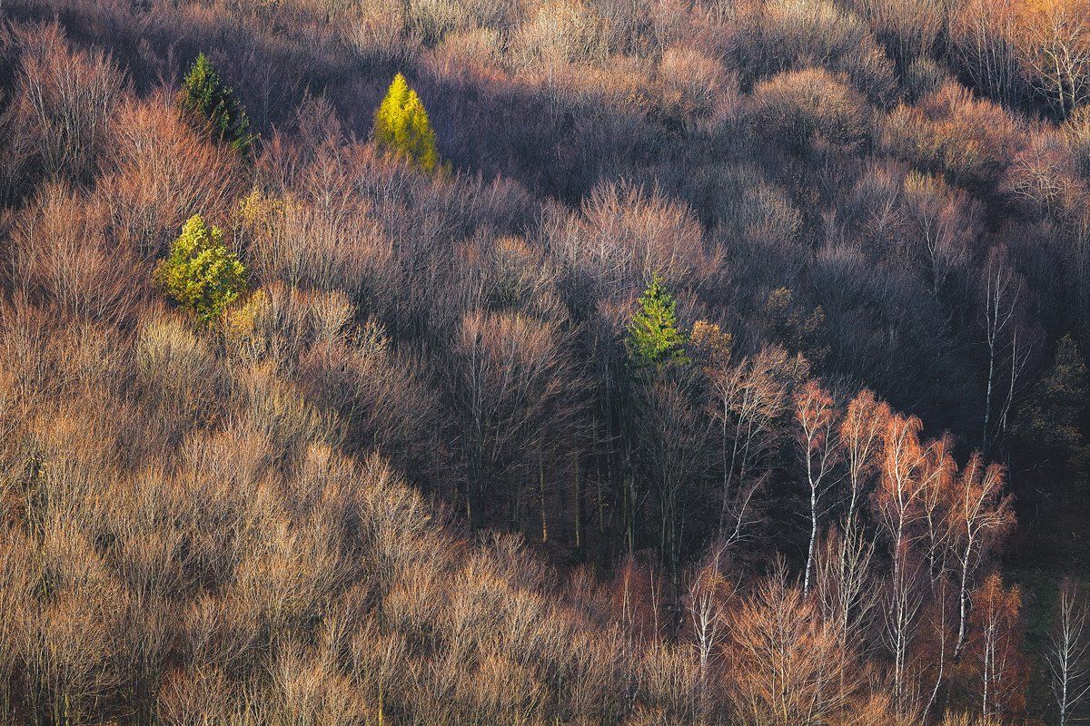 autumn,mountains,canon,trees, Iza i Darek Mitręga