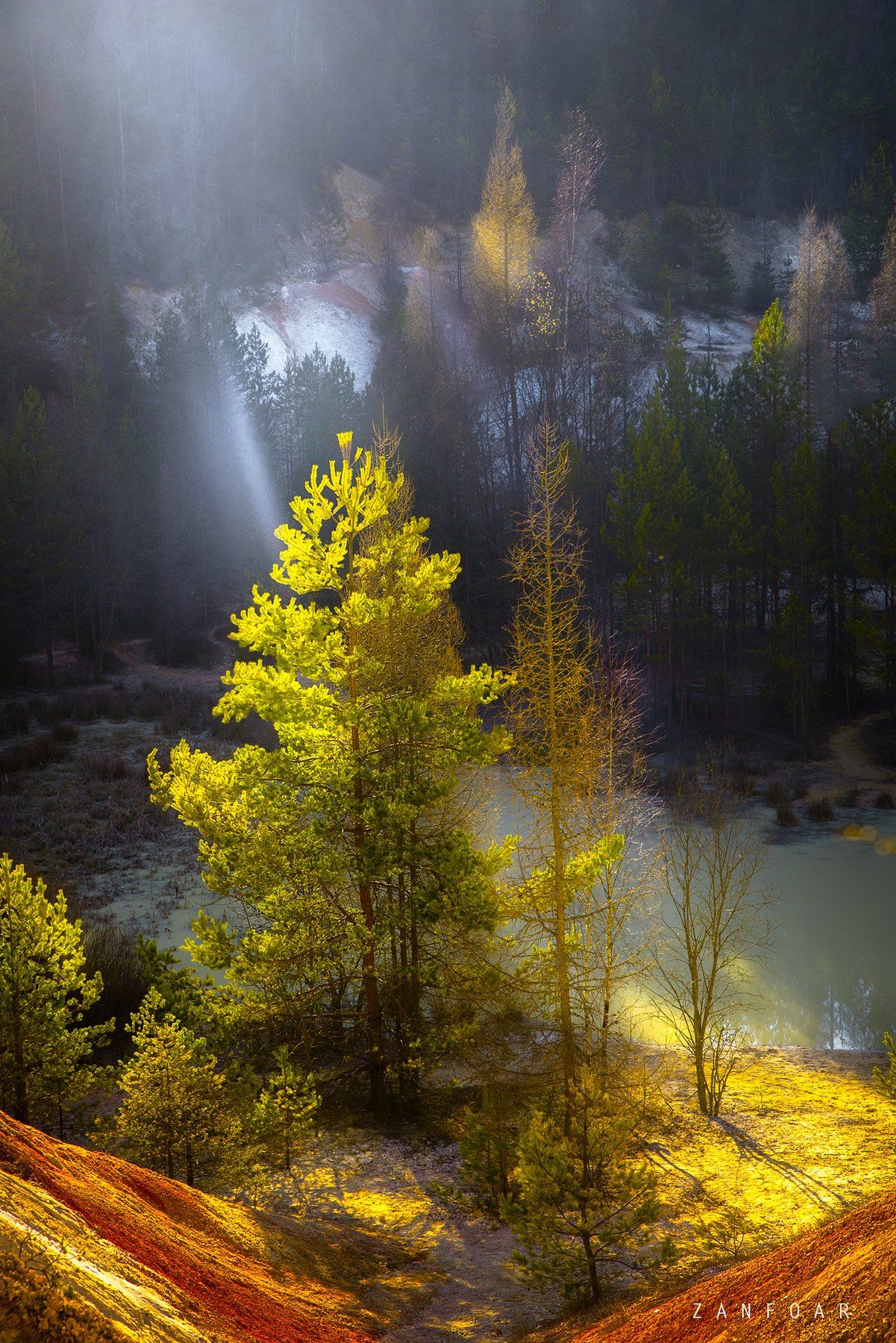 последние лучи,лучи,zanfoar,czech republic,nikon 750,czechia,чехия,  Zanfoar