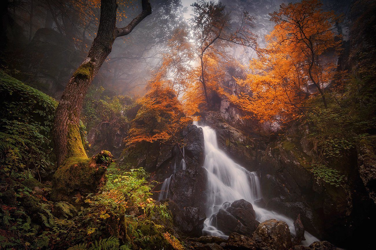 bulgaria,vitosha,autumn,fog, Svetoslav Georgiev