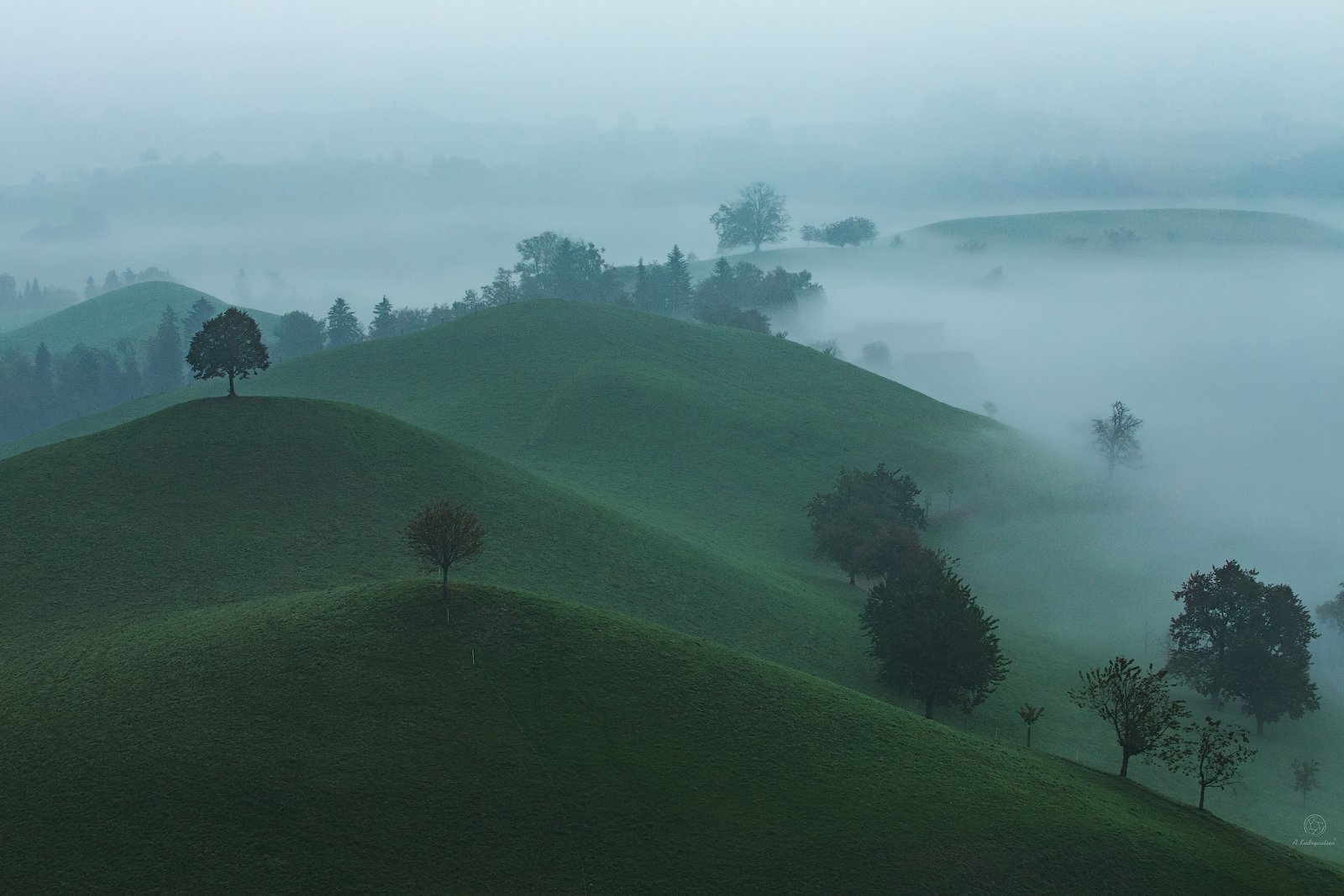 туман, природа, холмы, деревья, воздух, пейзаж, минимализм, путешествия, Анатолий Кудрявцев