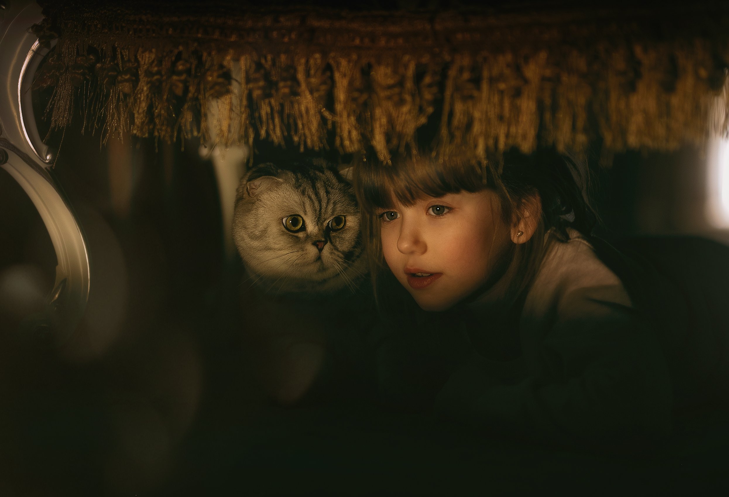 девочка кот дуэт детство вечер тайна дом уют взгляд домашний питомец друзья, Марина Еленчук