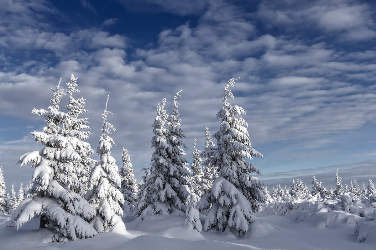 winter,mountains,canon,snow, Iza i Darek Mitręga