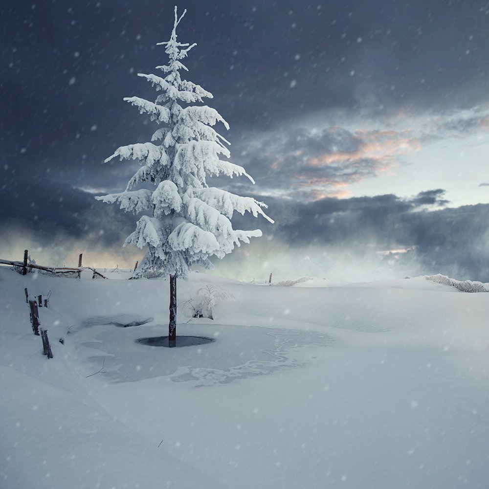 frozen, winter, water, light, tree, shadow, white, snow, ice, photoshop, pin, photomanipulation, tutorials, Caras Ionut
