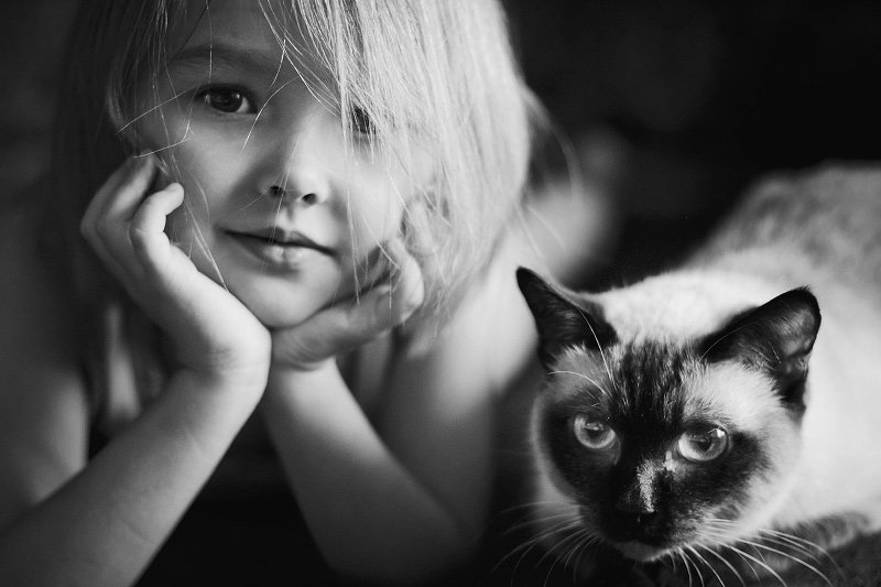 дети, люди, портрет, кошка, чб, черно-белая фотография, Елена Ященко