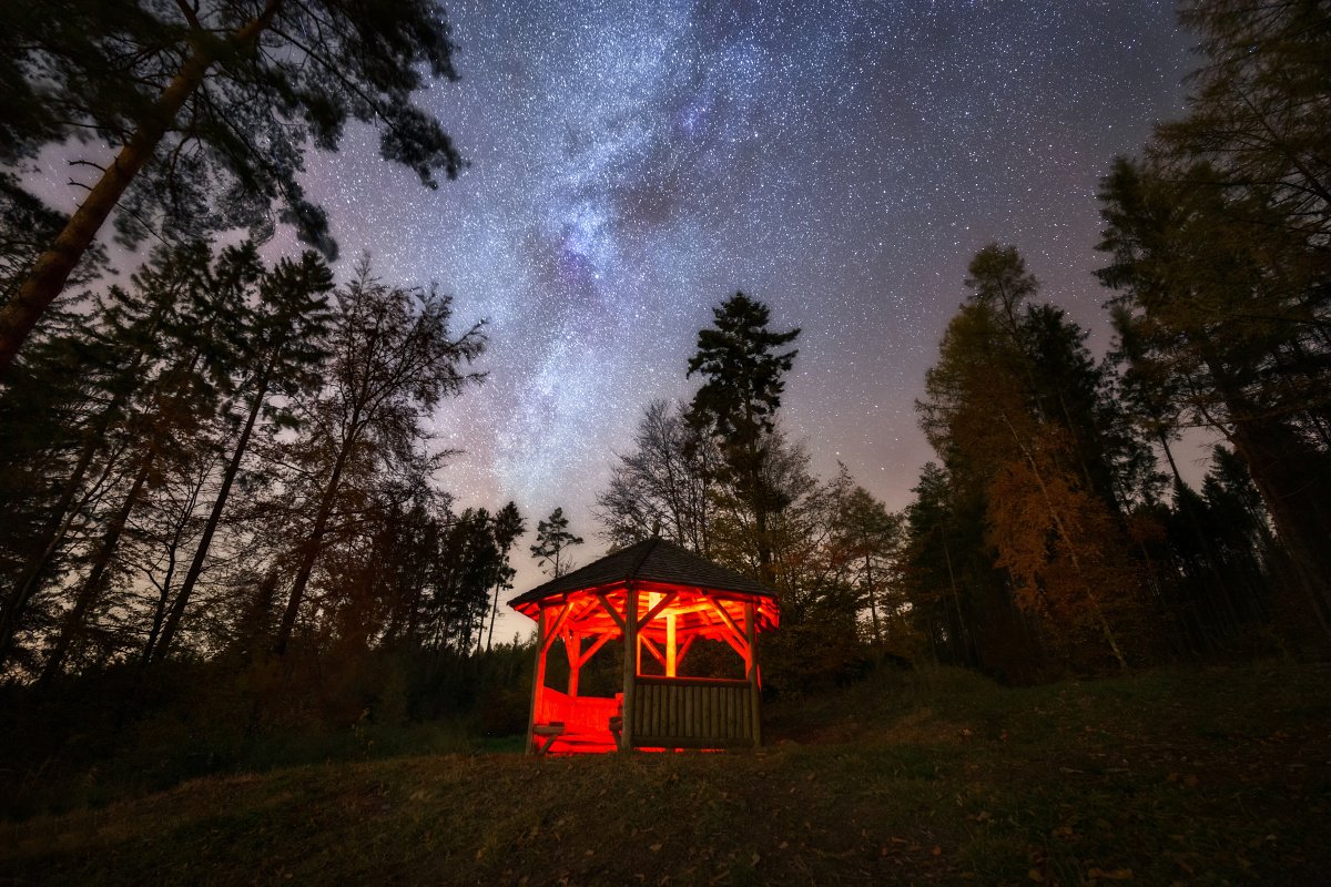 landscape, tree, star, night, Petr Fiala