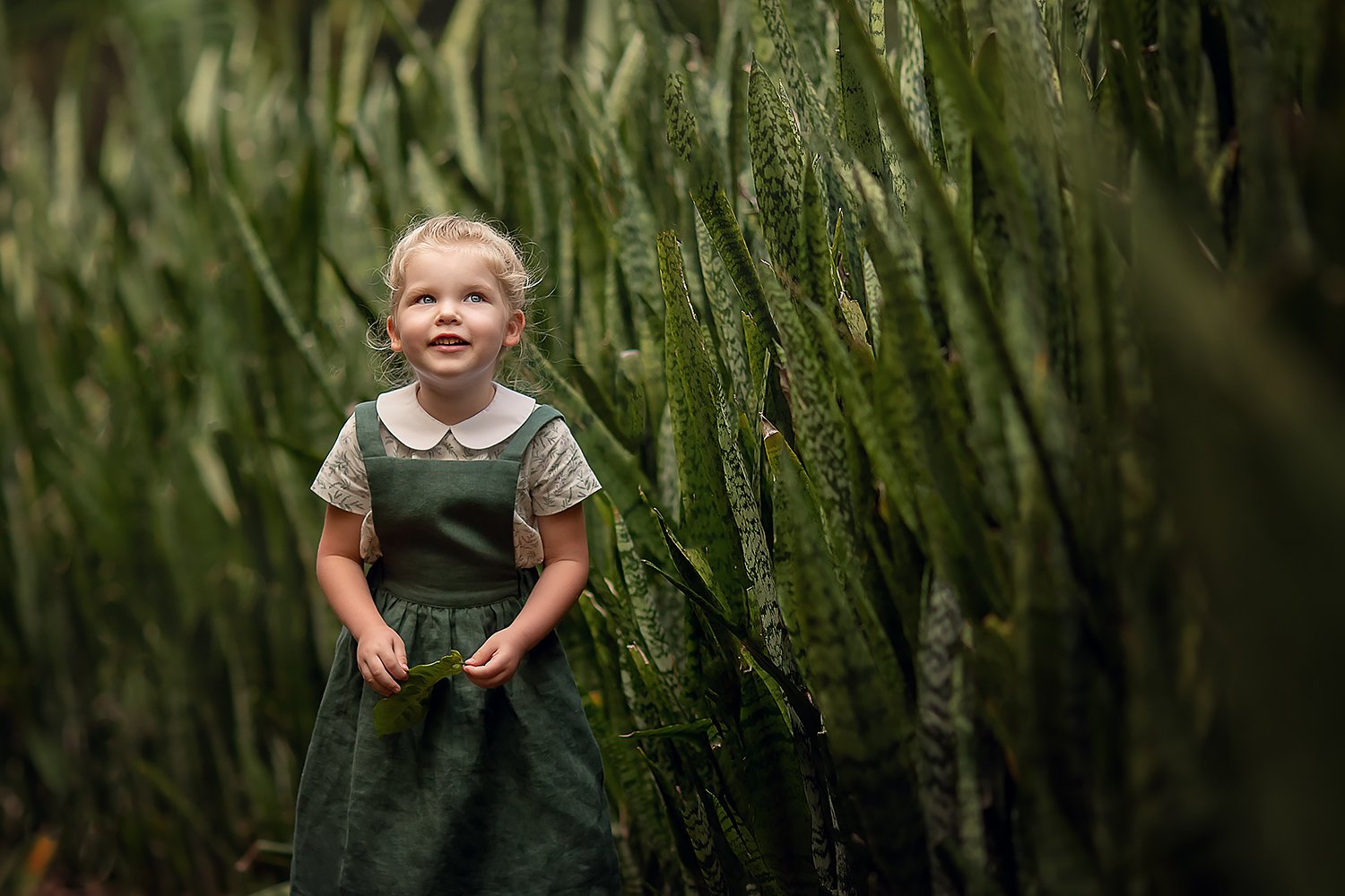 девочка кусты ребенок детское фото, Екатерина Белоножкина