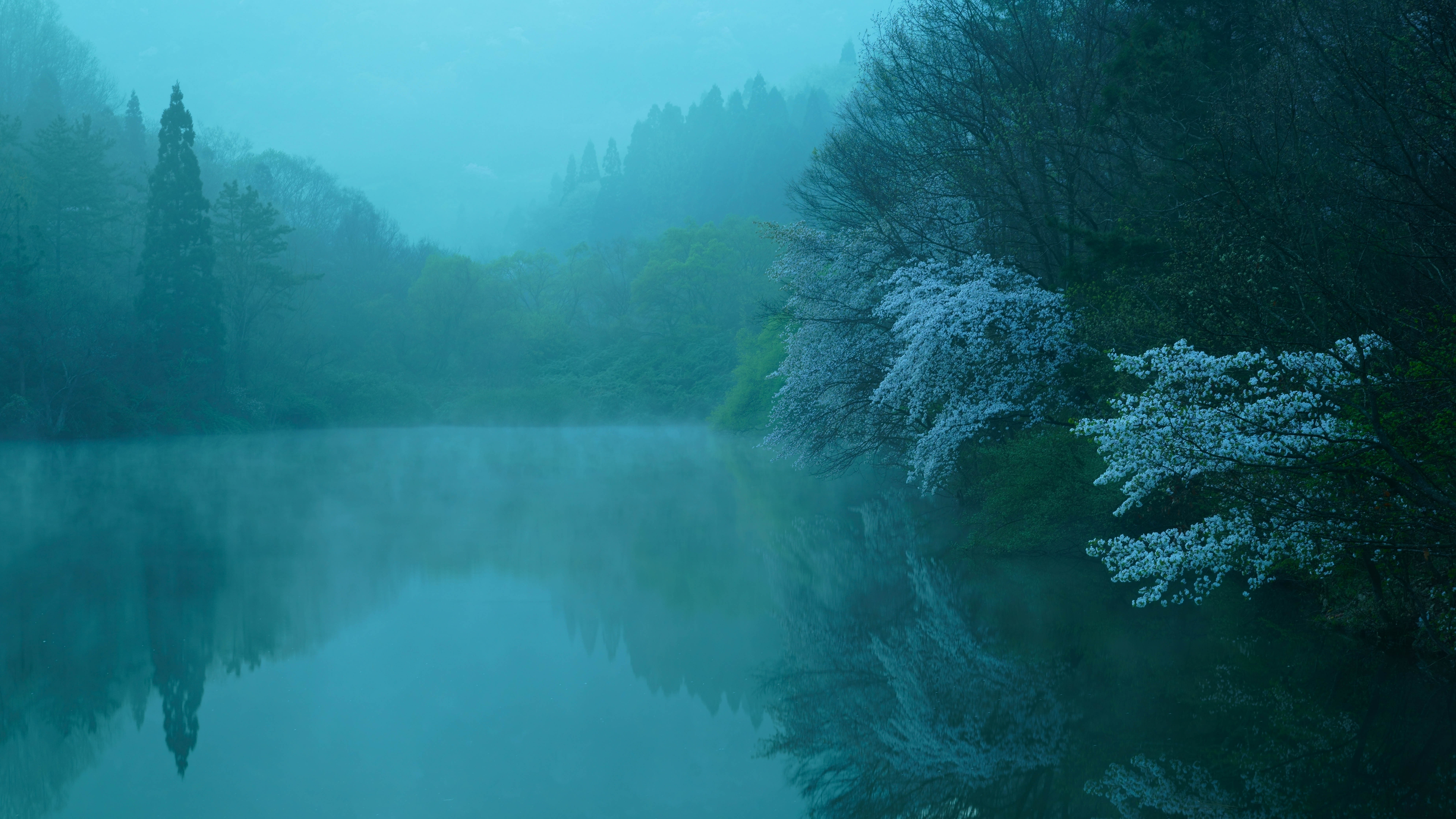 south korea, jeollabukdo, spring, flower, cherry blossom, landscape, beautiful, dawn, fog, atmosphere, fantastic, lake, Shin