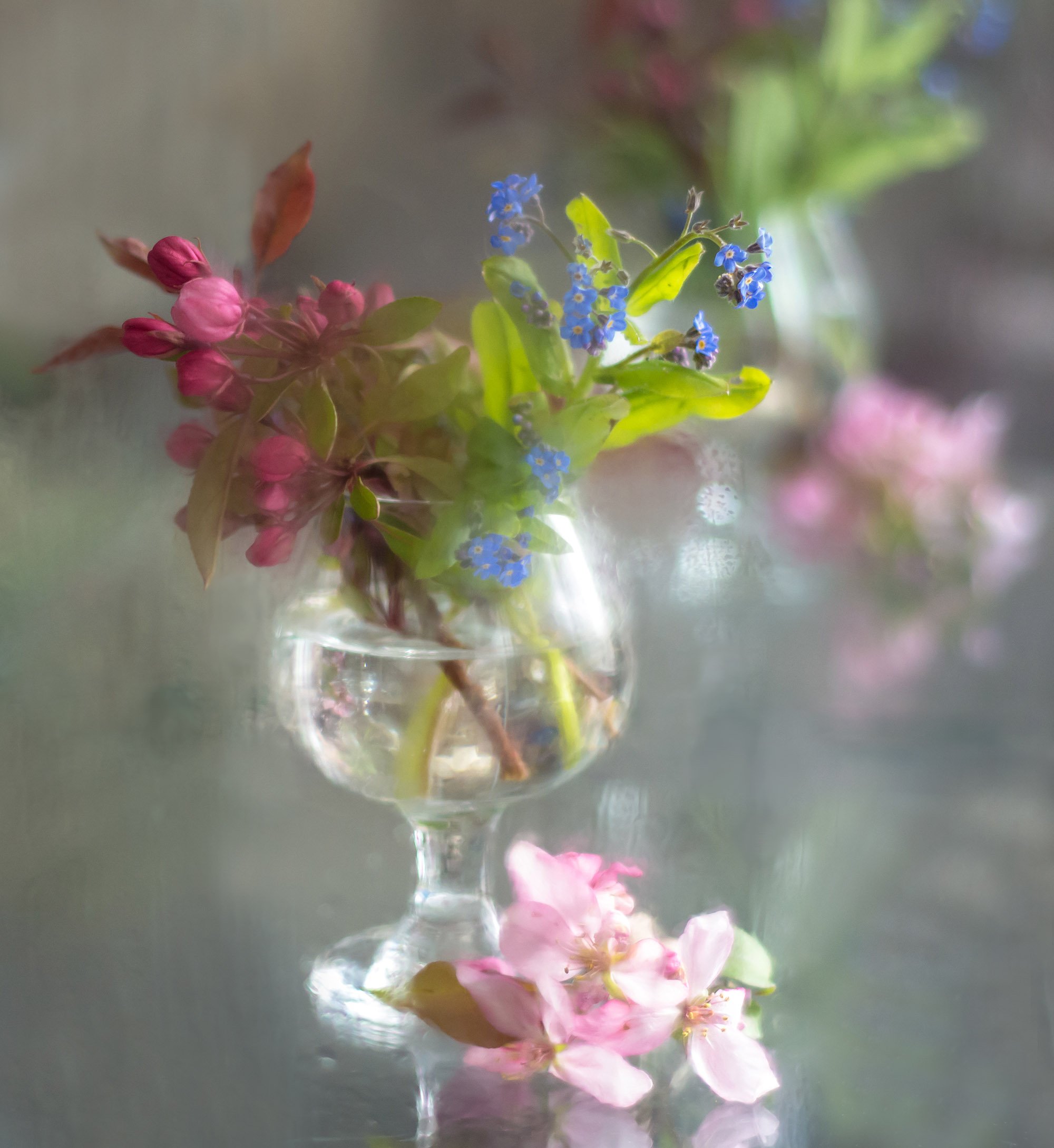 натюрморт,весна,цветы,незабудки,бокал,неживая природа,, Антонина Яновска