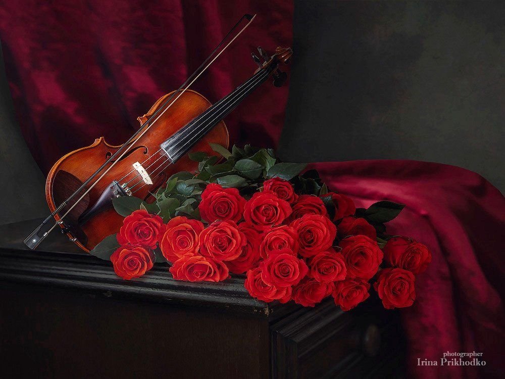 натюрморт, скрипка, розы, цветочный, художественное фото, винтажный, романтичный, Ирина Приходько