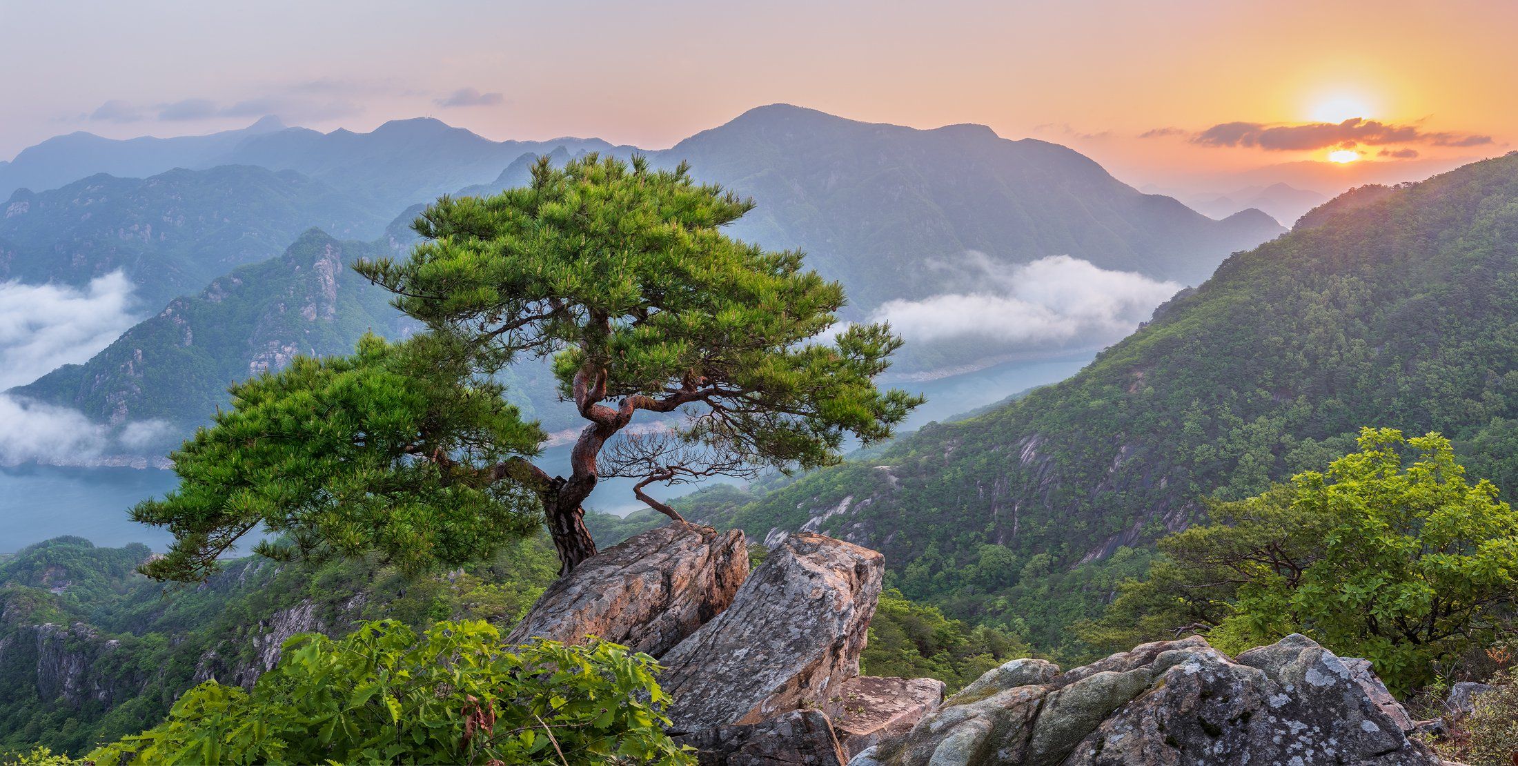 mountains,peak,hiking,fog,clouds,spring,light,korea,pine,sunrise,panorama, river, national park, old, Jaeyoun Ryu