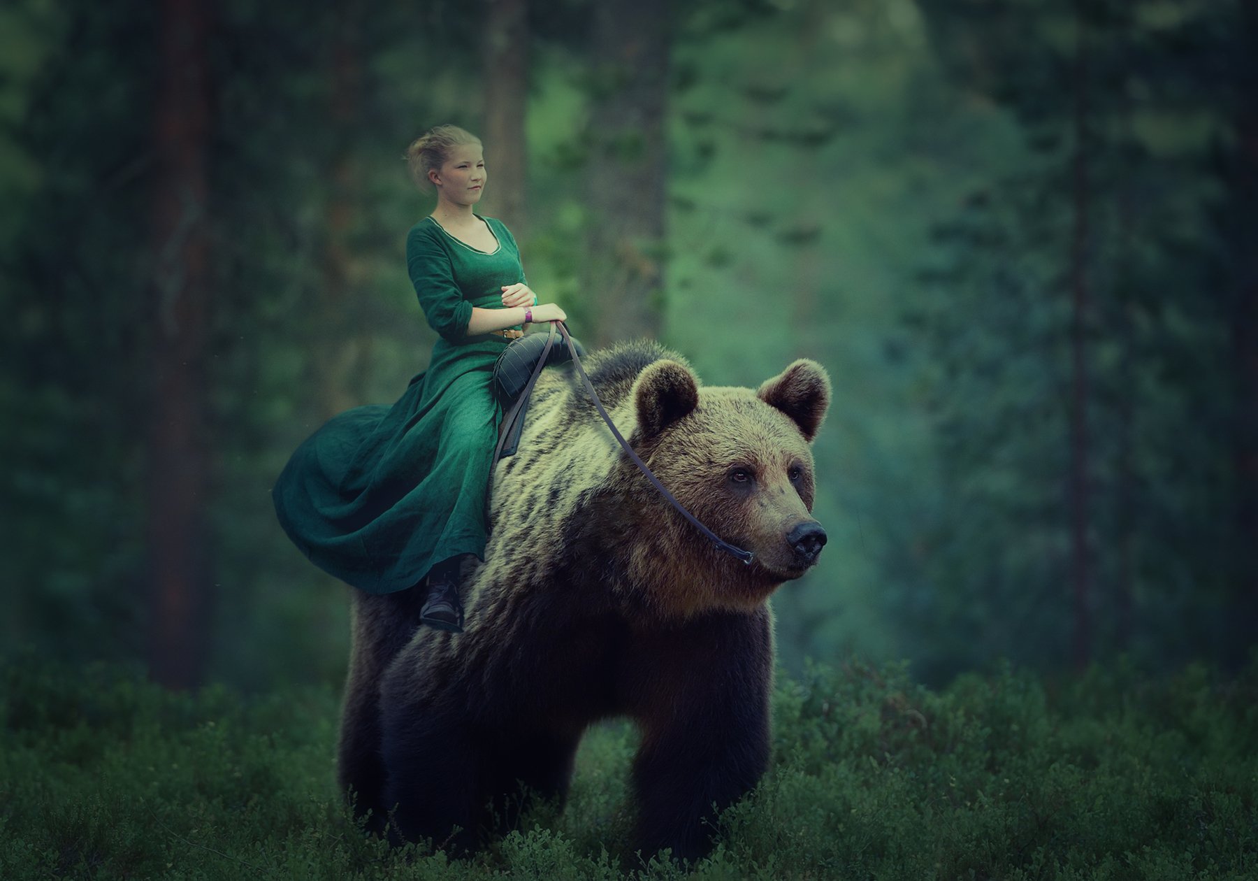 девочка, лес, медведь, Sergii Vidov