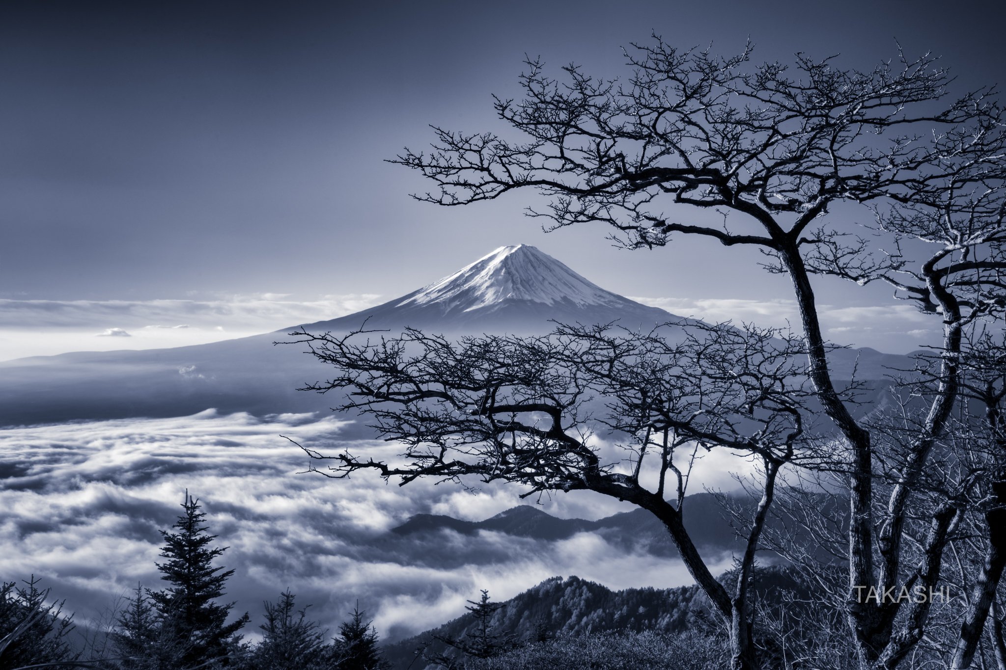 Fuji,Japan,mountain,clouds,tree,bonsai,snow,blue, Takashi