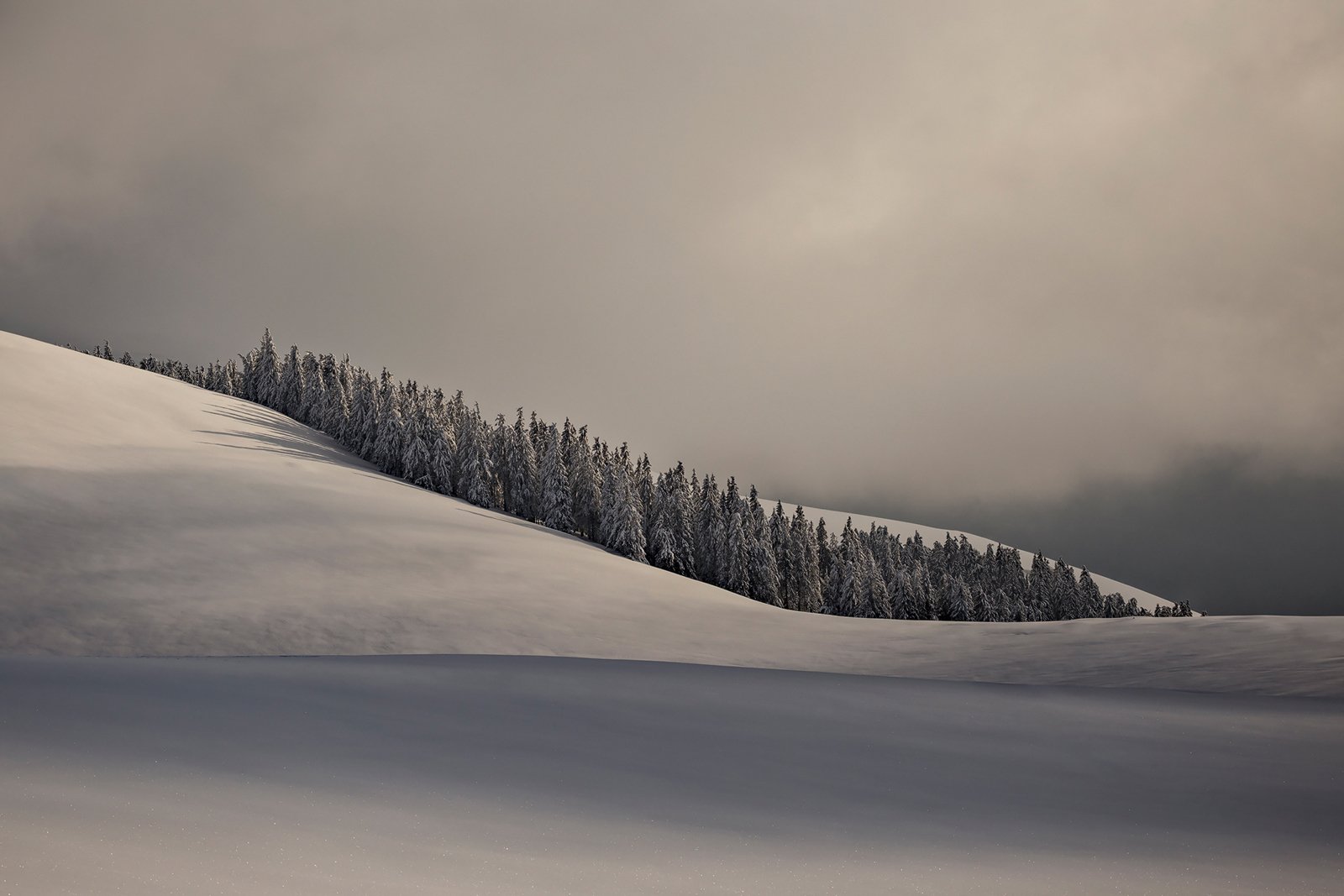 winter, trees, blizzard, snow, landscape, travel, nature, mountain, romania, cold, sunset, Lazar Ioan Ovidiu