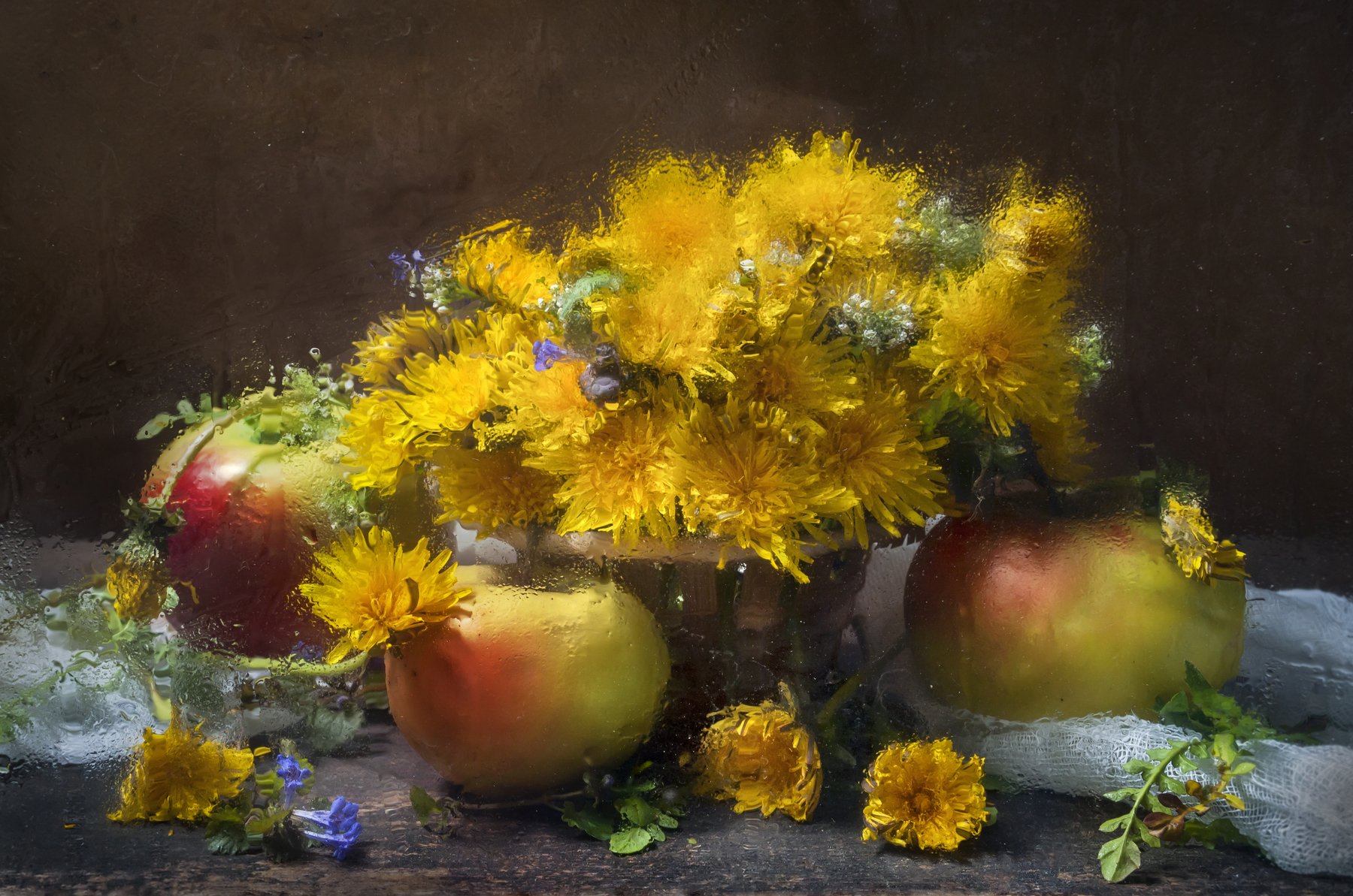 цветы, мокрый, одуванчики, яблоки, жёлтый, Владимир Володин