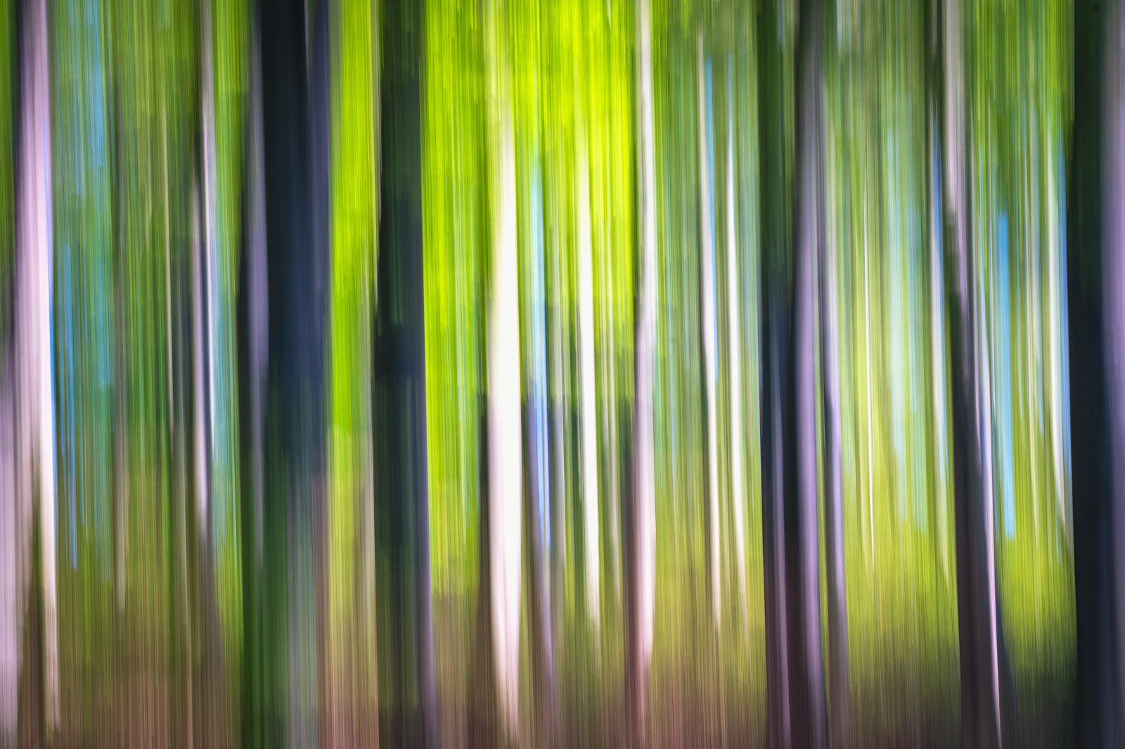 #icm #nature #springtime #natural light #forest #colors #abstract #silhouette, Gheorghe Popa