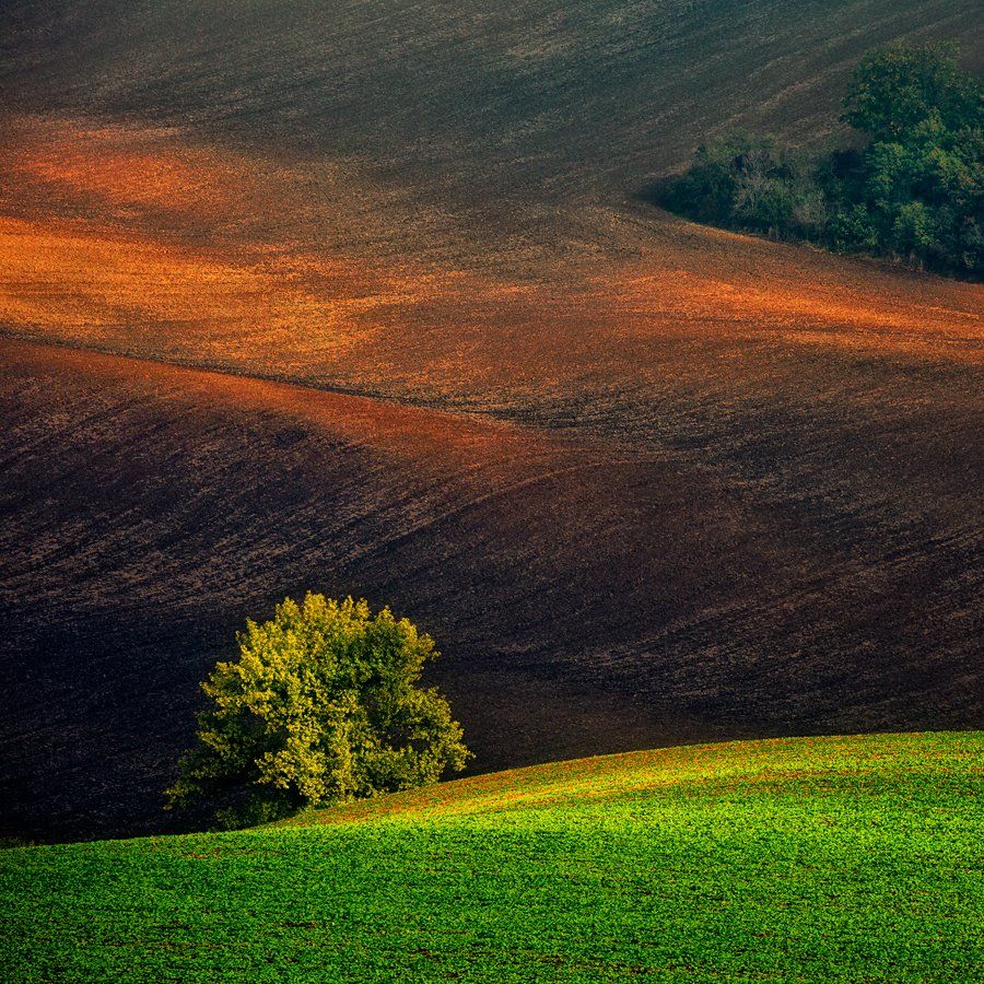 autumn,south moravia,canon,sunset, Iza i Darek Mitręga