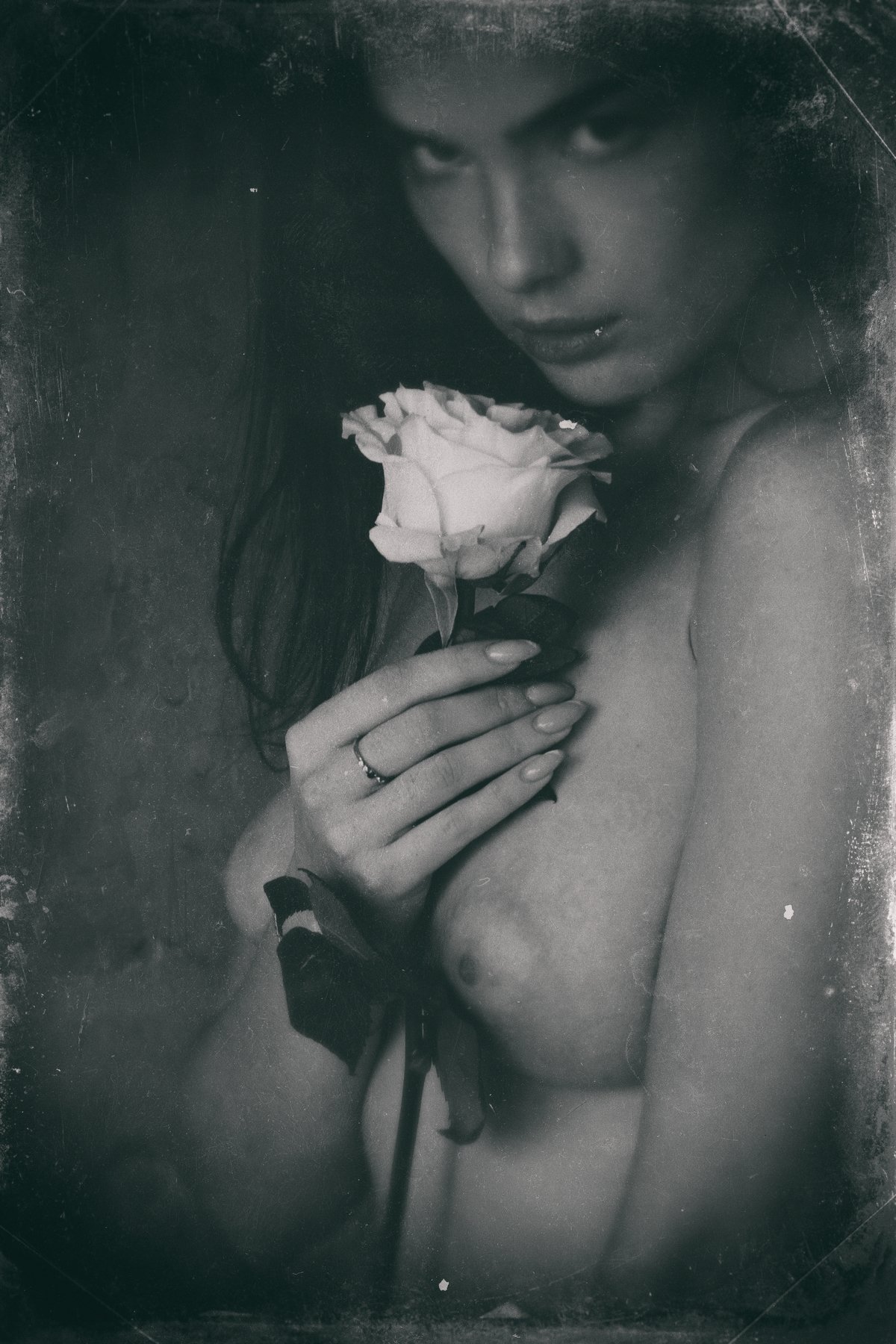portrait nude rose, Pablo Fanque’s Fair