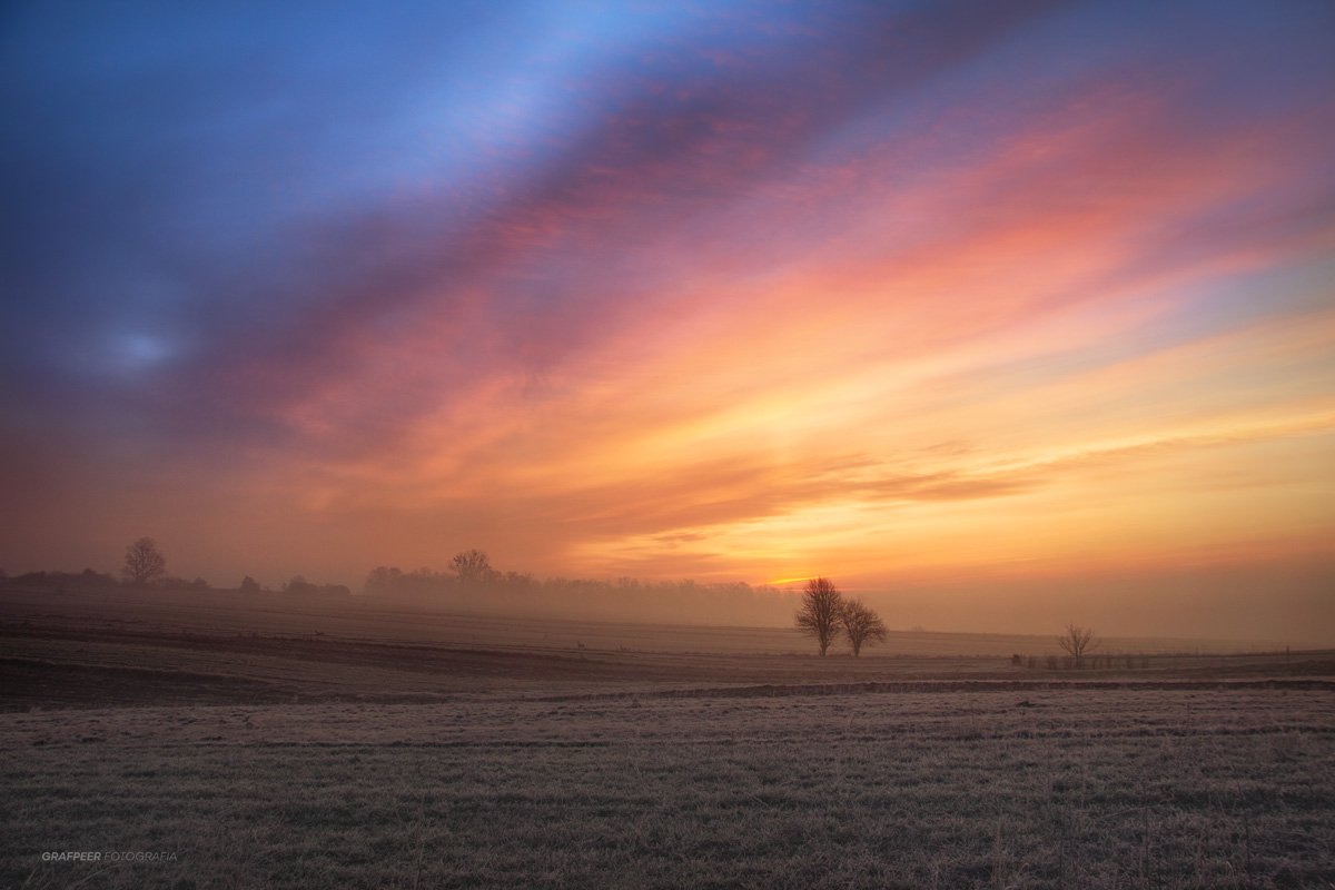 landscape, morning, frosty, trees, clouds, sunrise, fields, Robert Powroznik