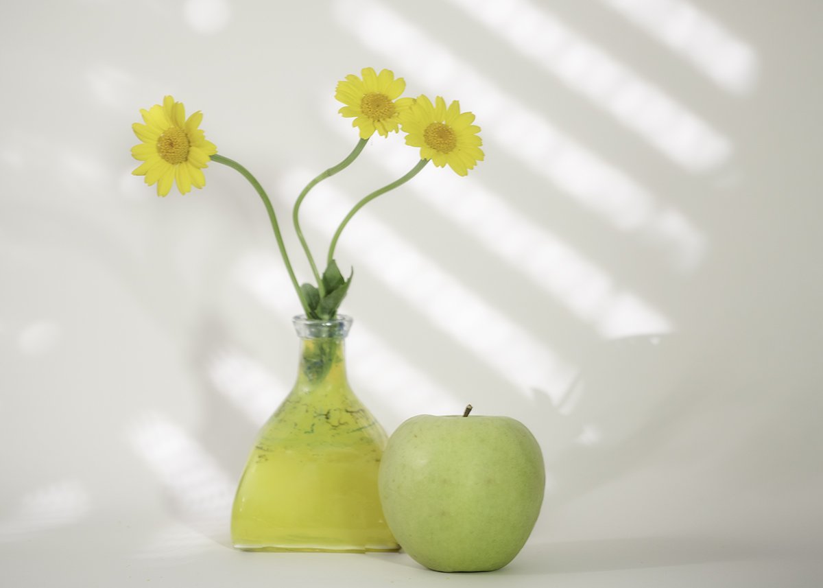 yellow,daisy,stilllife,highkey,flowers, mustafa yagci