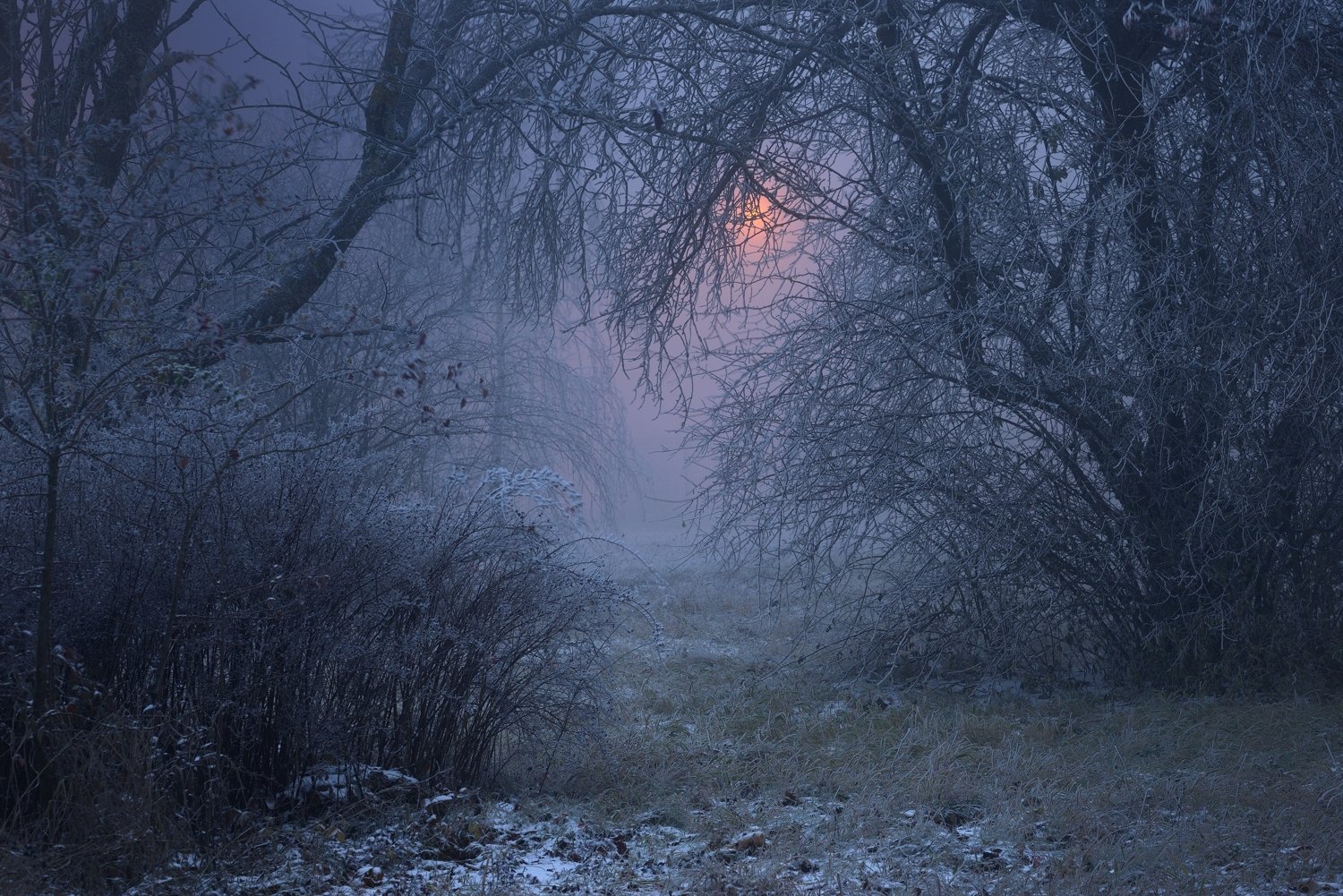 туман рассвет зима, Александр Жарников