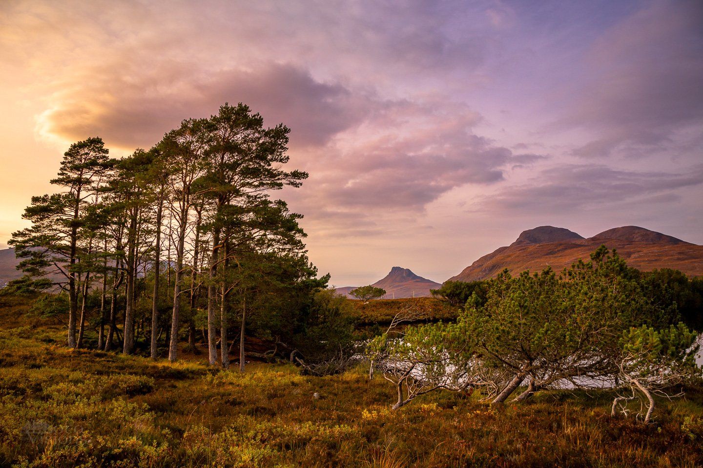 scotland,highlands,mountains,lake,forest,trees,sunset,uk, Adrian Szatewicz