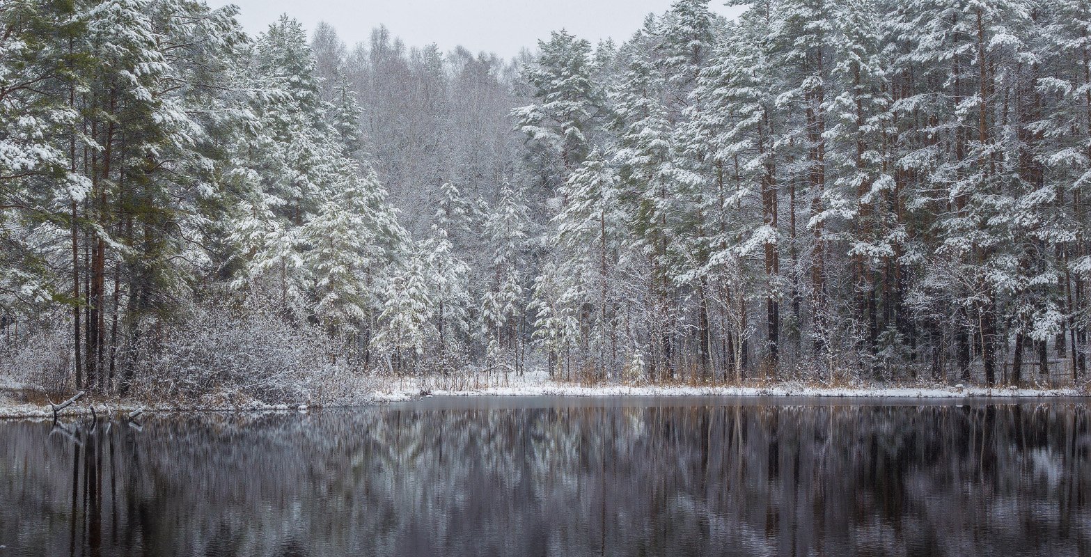 апрель снег вода озерцо отражение, Дмитрий Алексеев