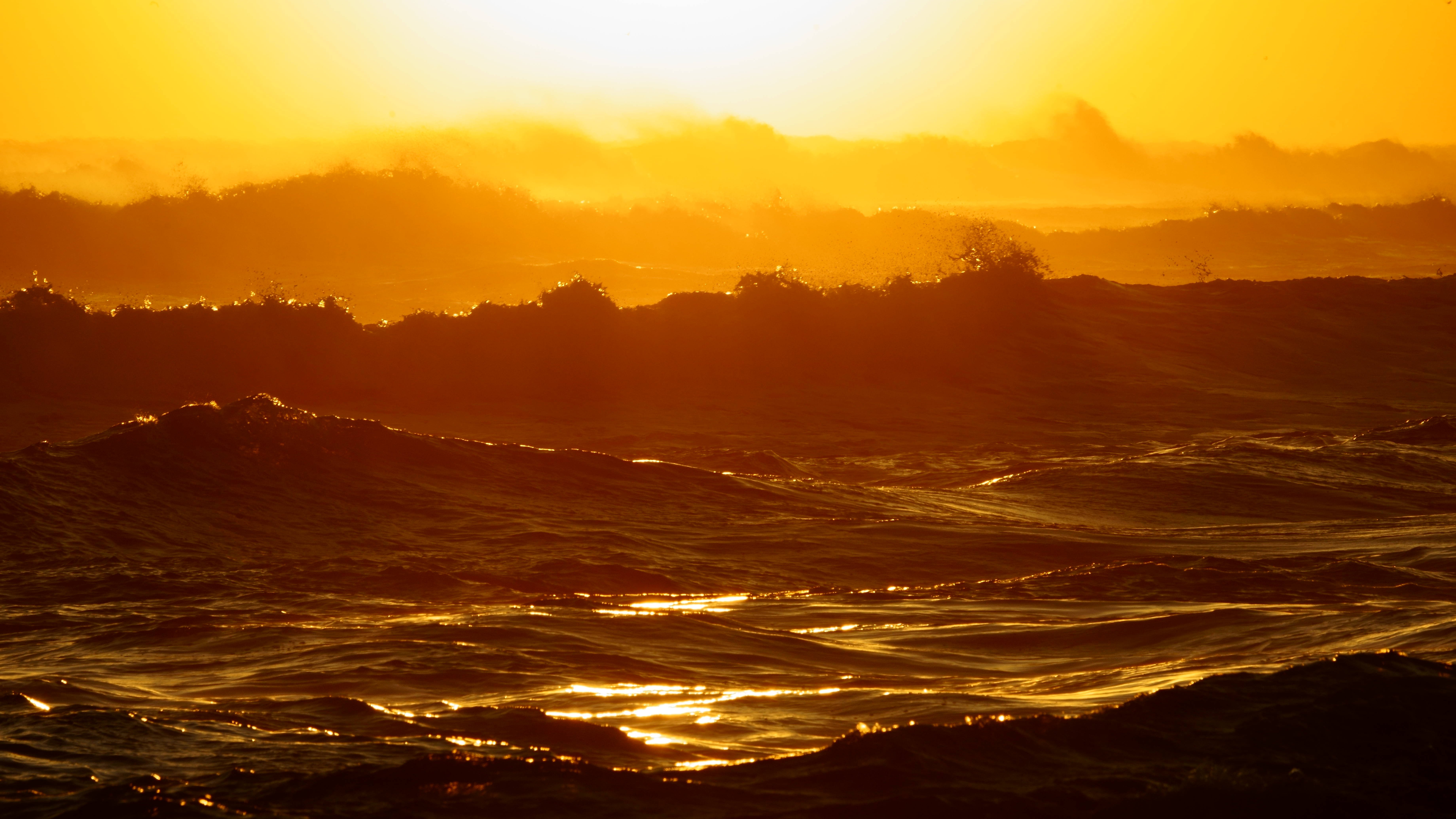 south korea,kangwondo,winter,sea,seascape,sun,horizontal,wave,backlight,sunrise,wind, Shin