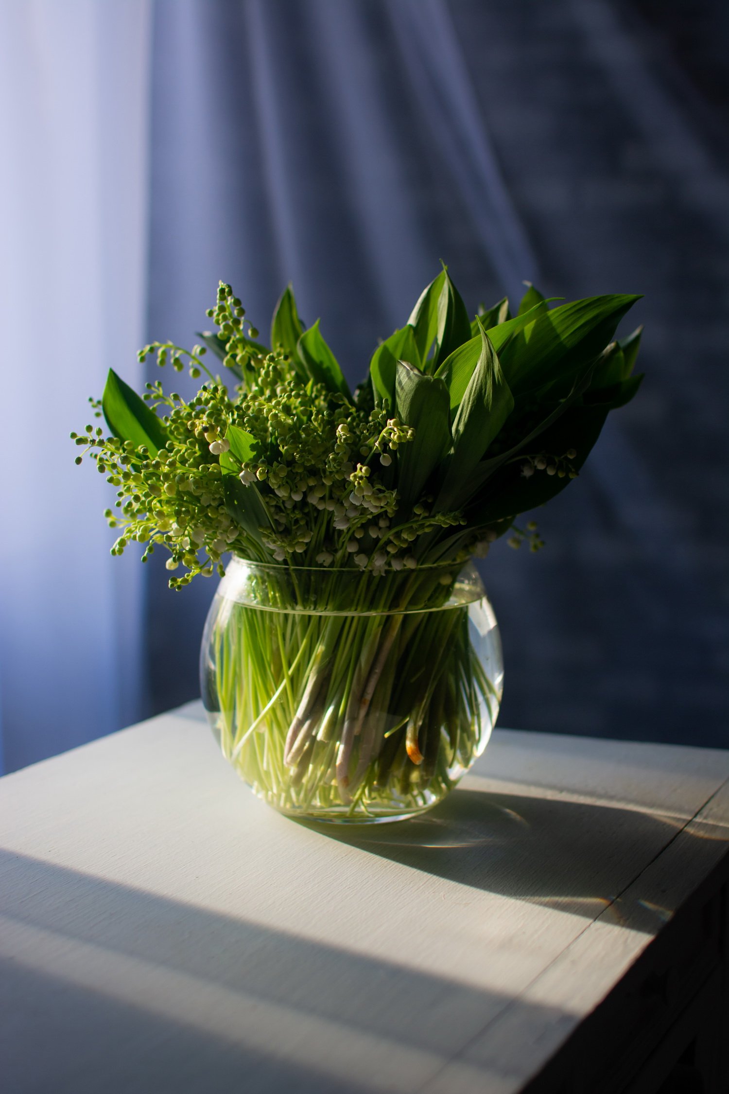 весна, цветы, ландыши, натюрморт, ваза, солнце, вечер, Марина Мищенко