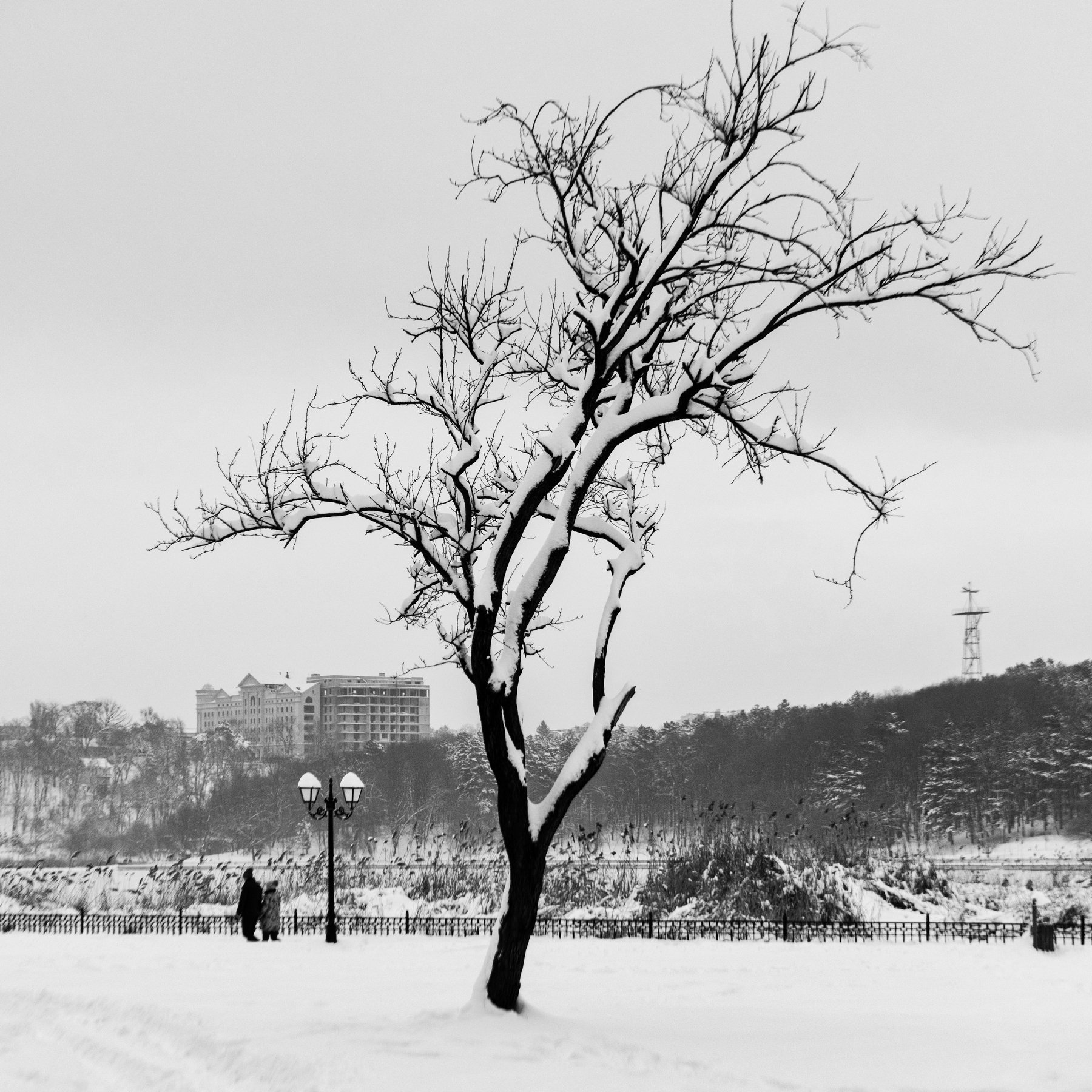 , Анатолий Поятэ