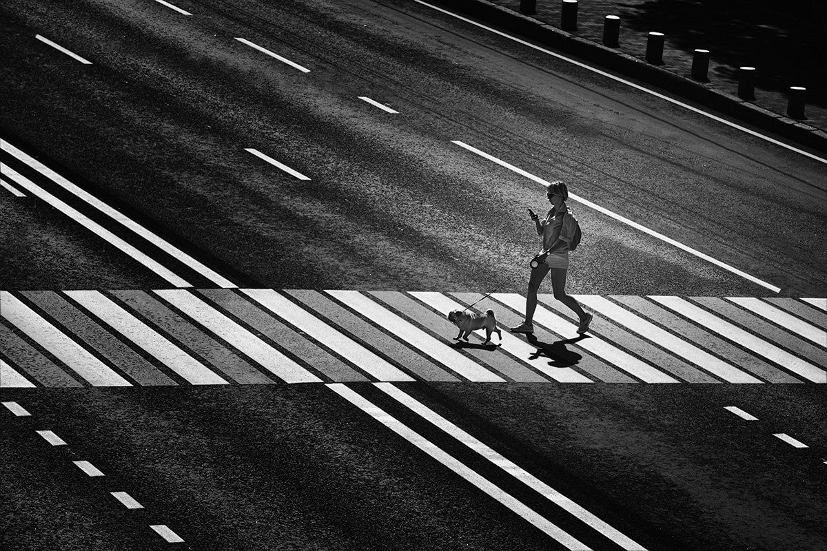 ЧБ фото, пешеходный переход, девушка с собакой,  уличное фото, жанровое фото, Vera Trandina