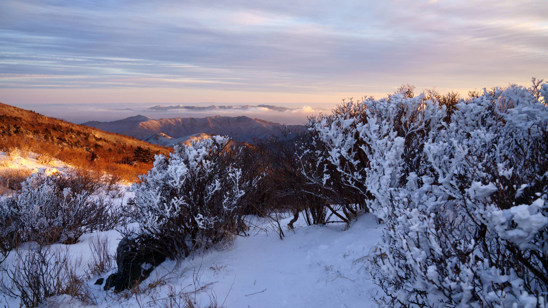 south korea, jeollabukdo, winter, fog, tree, mountain, rime ice, sunlight, cloud, morning light, landscape,, Shin