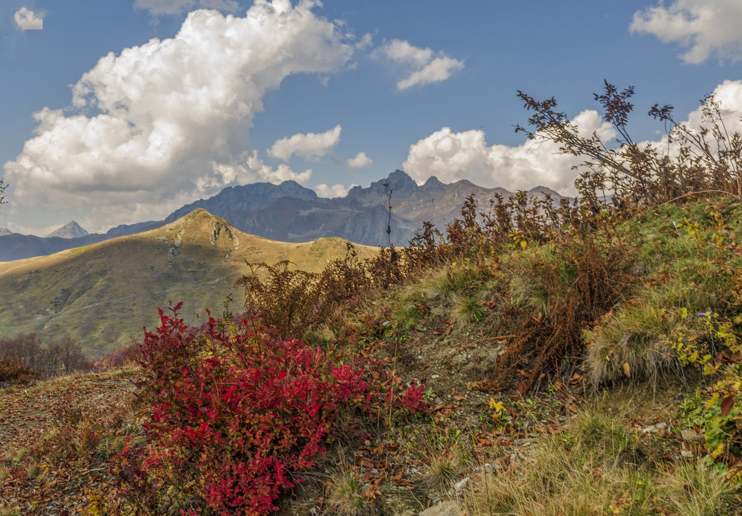 Альпийские Луга в Абхазии осень