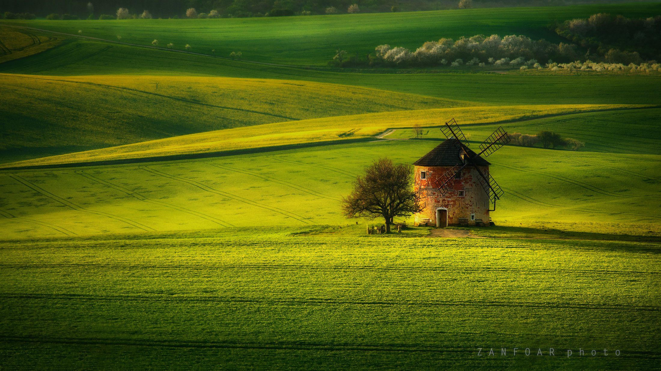 ветряная мельница,мельница,zanfoar,czech republic,czechia,nikon d750,lanscape,чехия,моравская тоскана,moravian toscany, Zanfoar