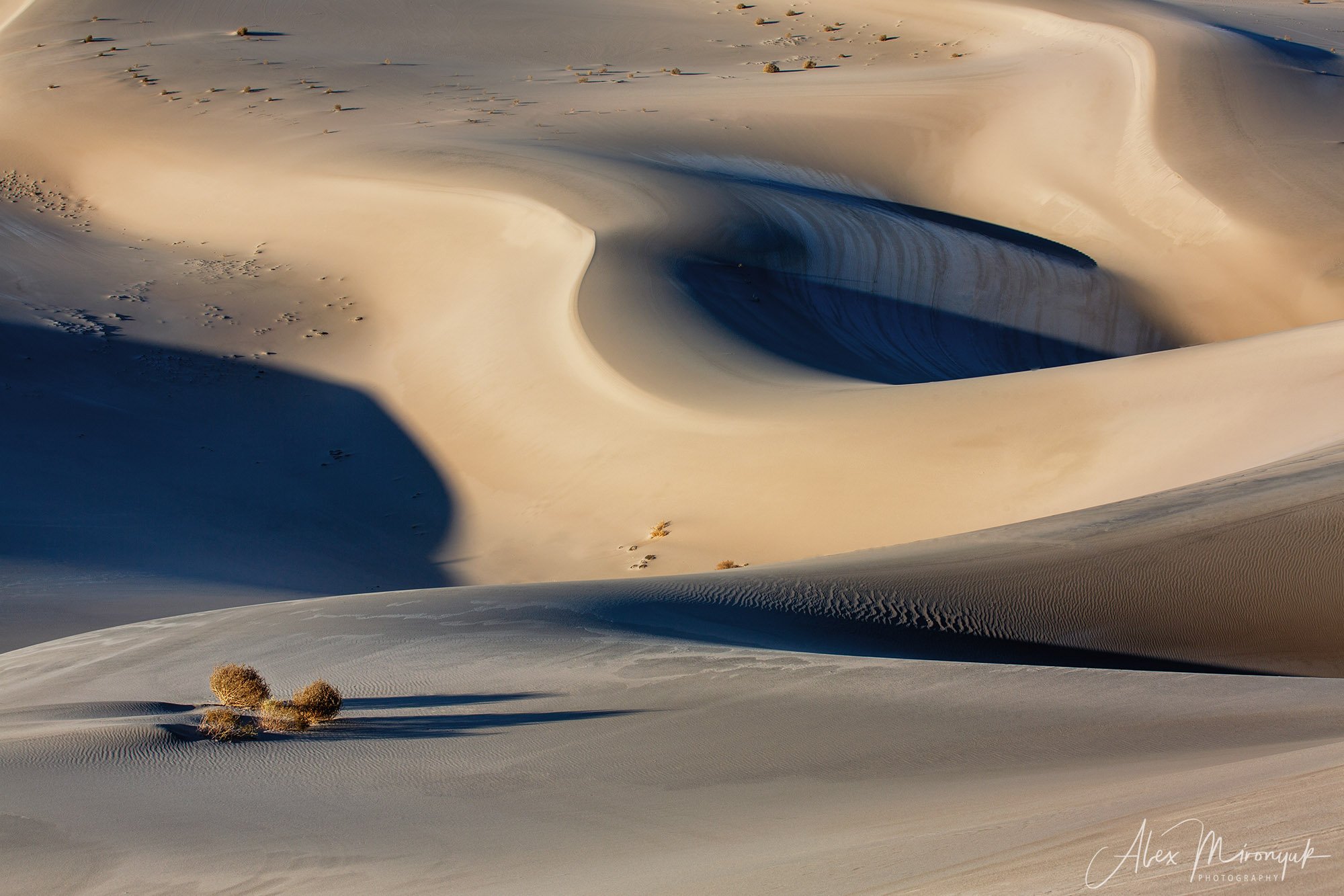 пустыня, дюны, песок, свет, тень, абстракция, паттерн, узор, фото-тур, сша, америка,, Alex Mironyuk