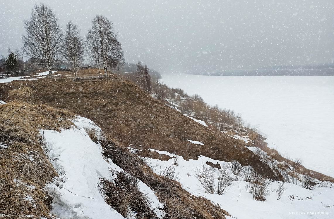 пейзаж, николай дмитрук